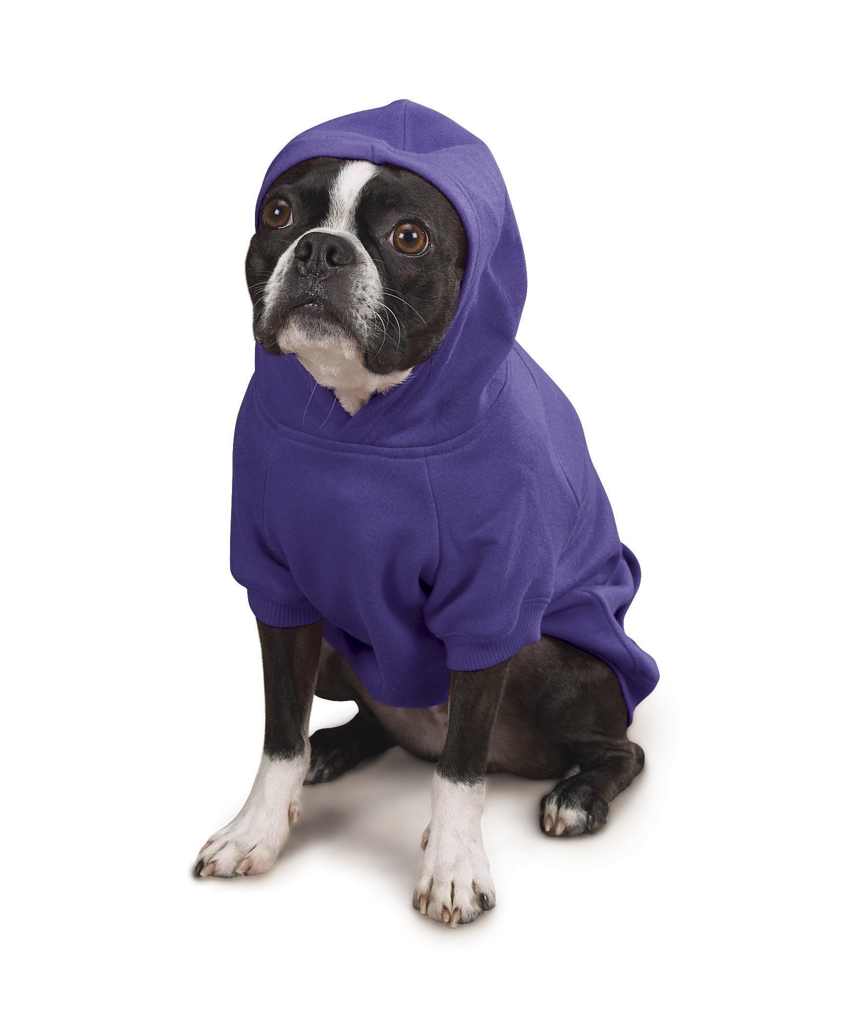 Zack & Zoey Basic Hoodie For Dogs, 8' X-Small, Ultra Violet