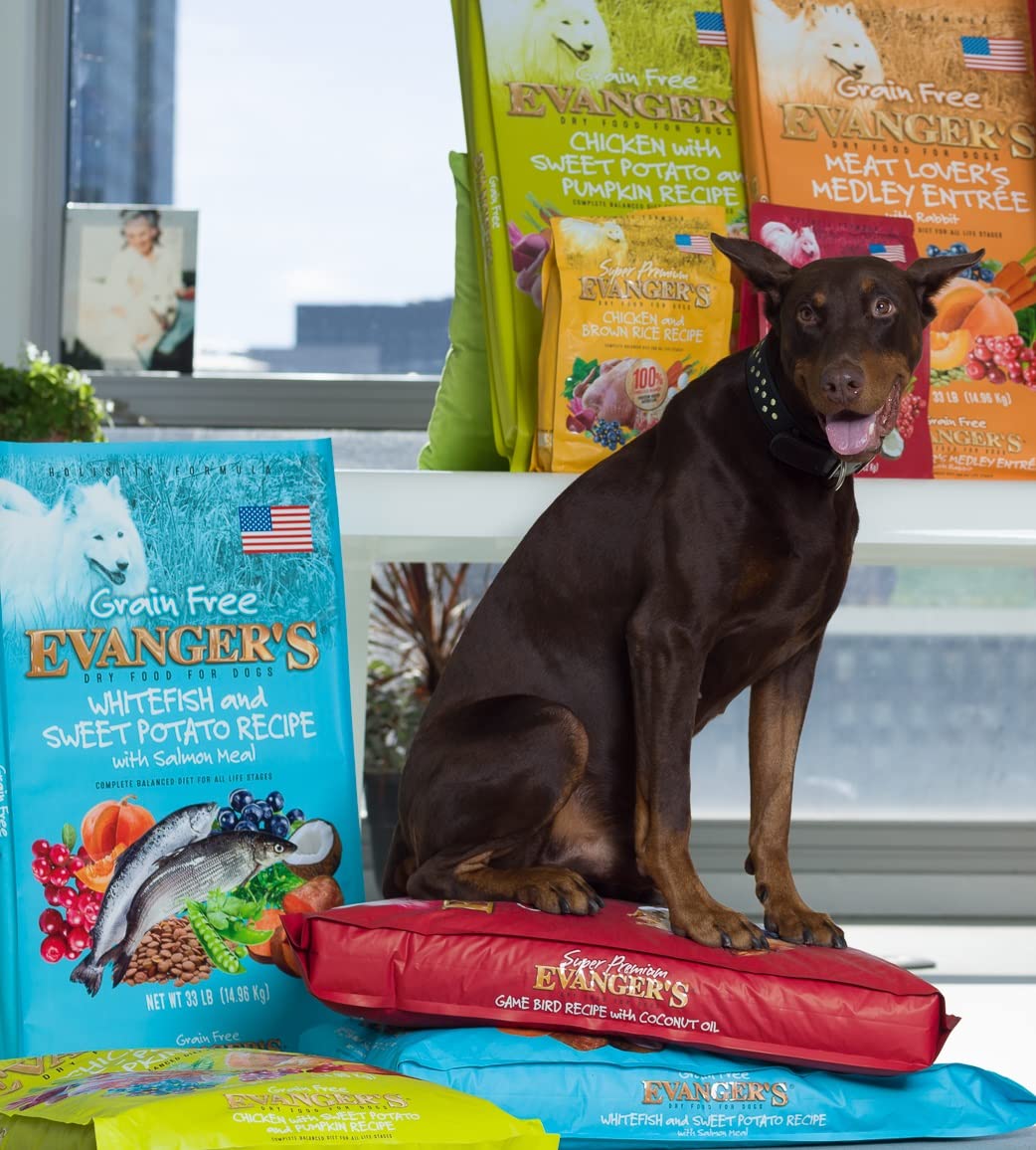 Evangers Super Gamebird Recipe with Coconut Oil Dry Food for Dogs - 33 lbs - Pea & Chicken Free, Hypoallergenic, Turmeric & Kal