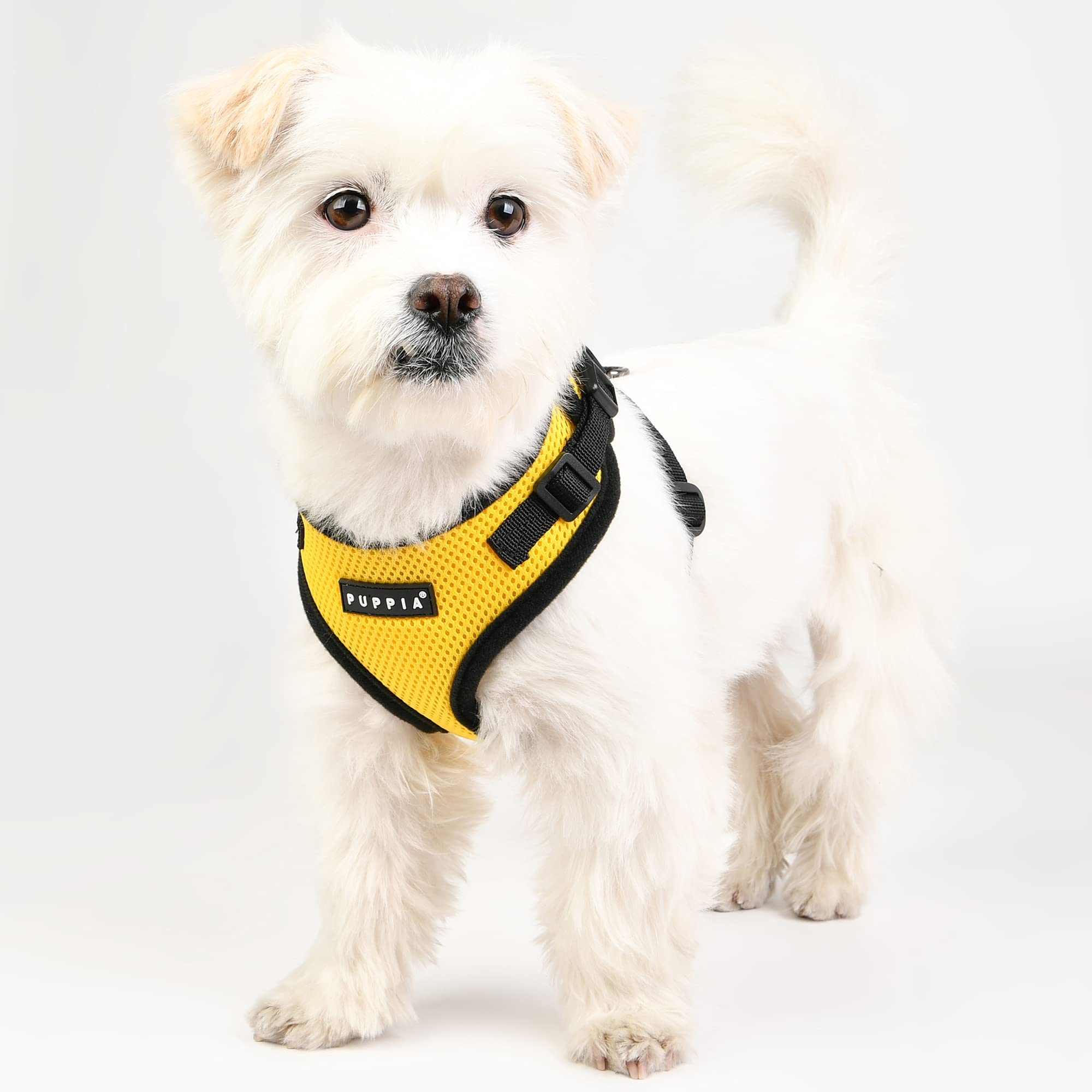 Puppia Ritefit Dog Harness Mesh Over-The-Head All Season No Pull No Choke Walking Training Adjustable Neck & Chest For Small & Medium Dog - Yellow - Small