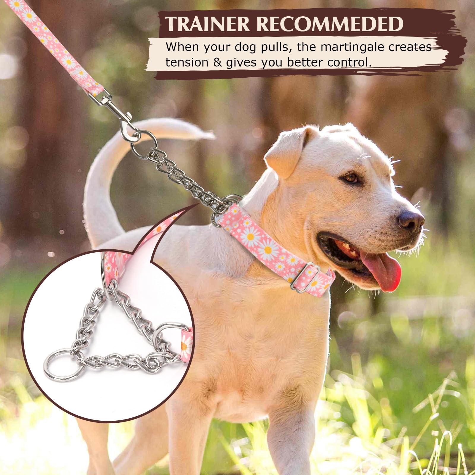 Martingale Collar For Dogs With Steel Chain, No Choke Dog Collar With Pink Daisy Flower Design, Adjustable No Pull Training Coll