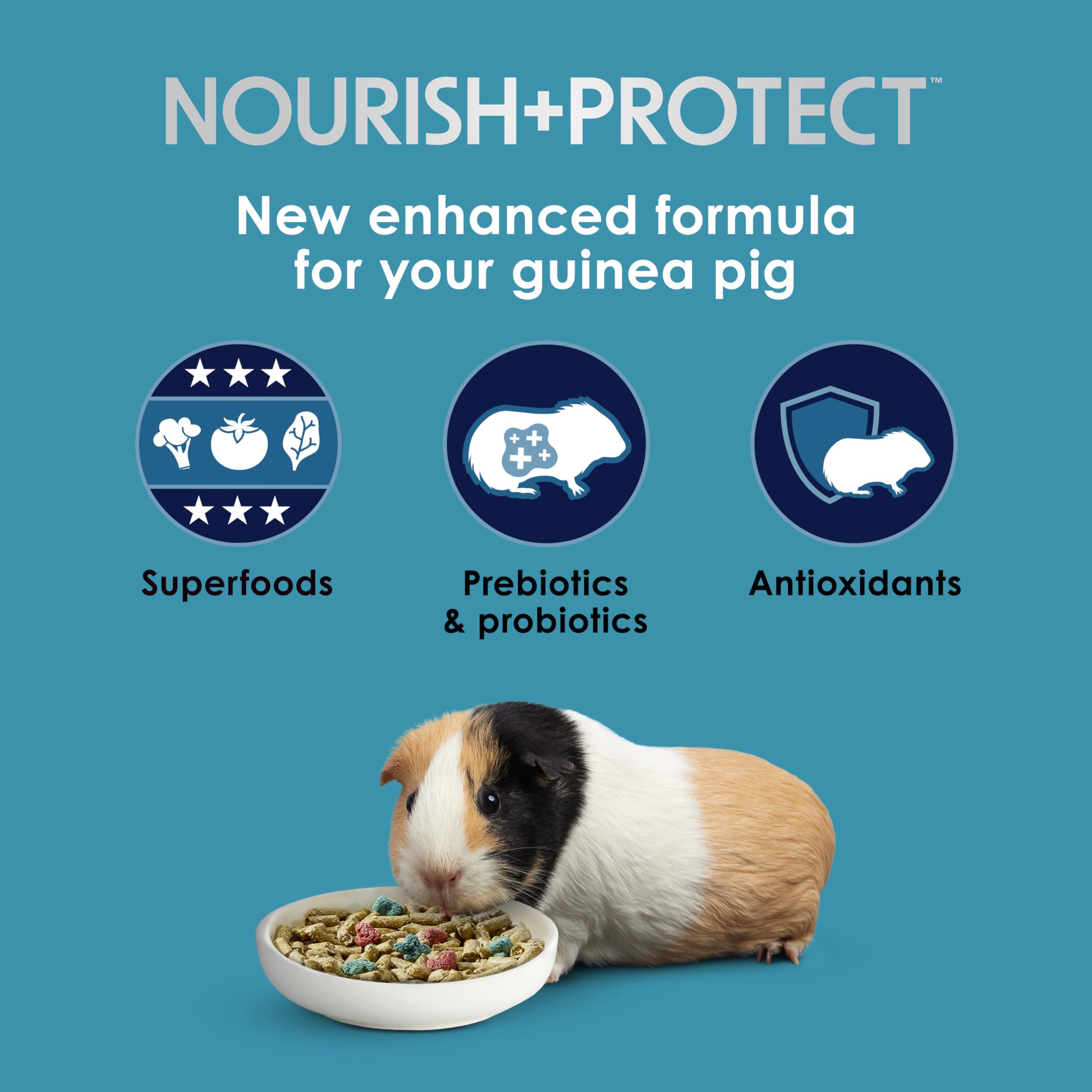 Kaytee Forti-Diet Pro Health Nourish+Protect Guinea Pig Food, Comprehensive Nutrition Backed by Science, Digestive Health, Immun