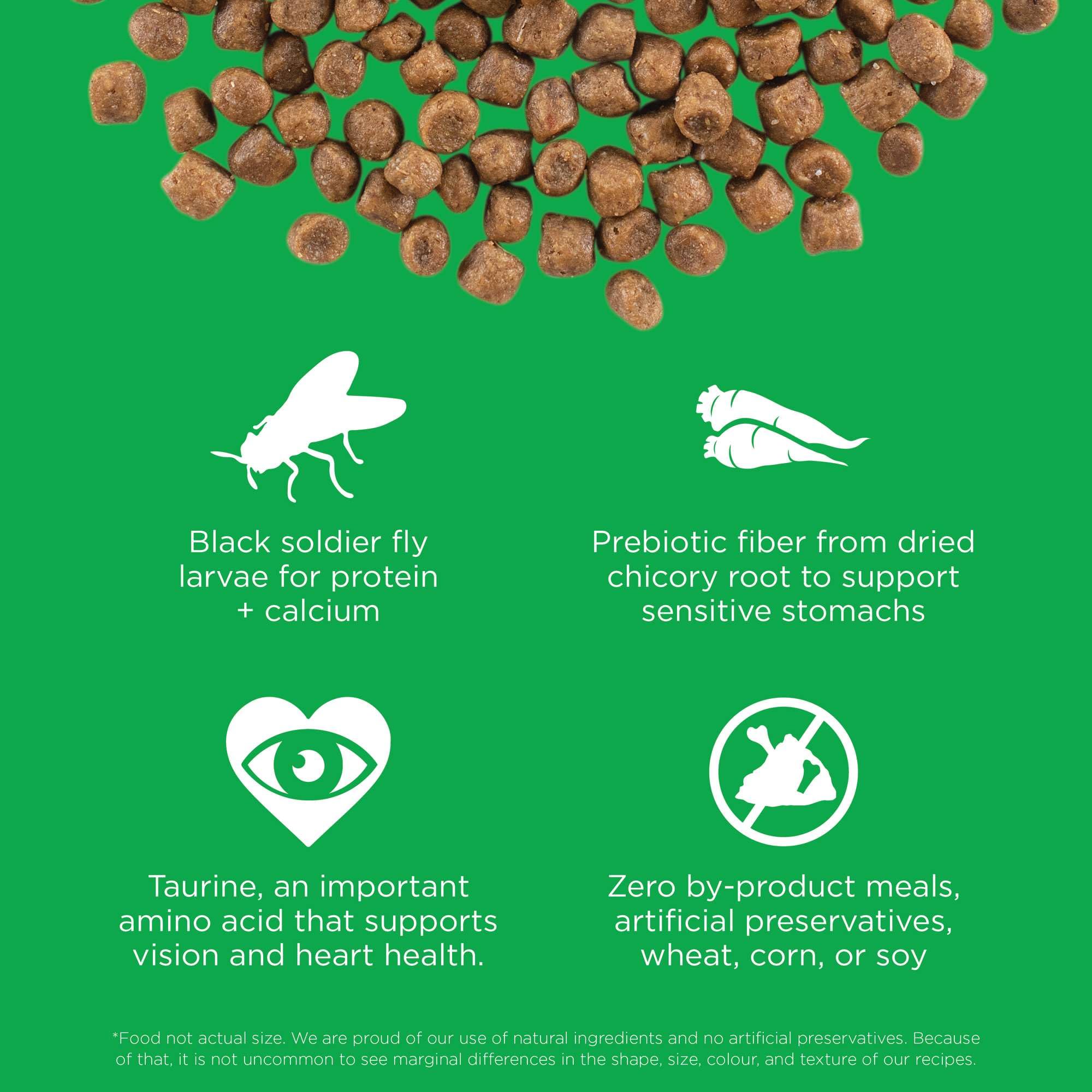 Go! Solutions Sensitivities Limited Ingredient Insect Grain-Free Dry Cat Food, Chicken-Free Kibble Made by Experts for Sensitive