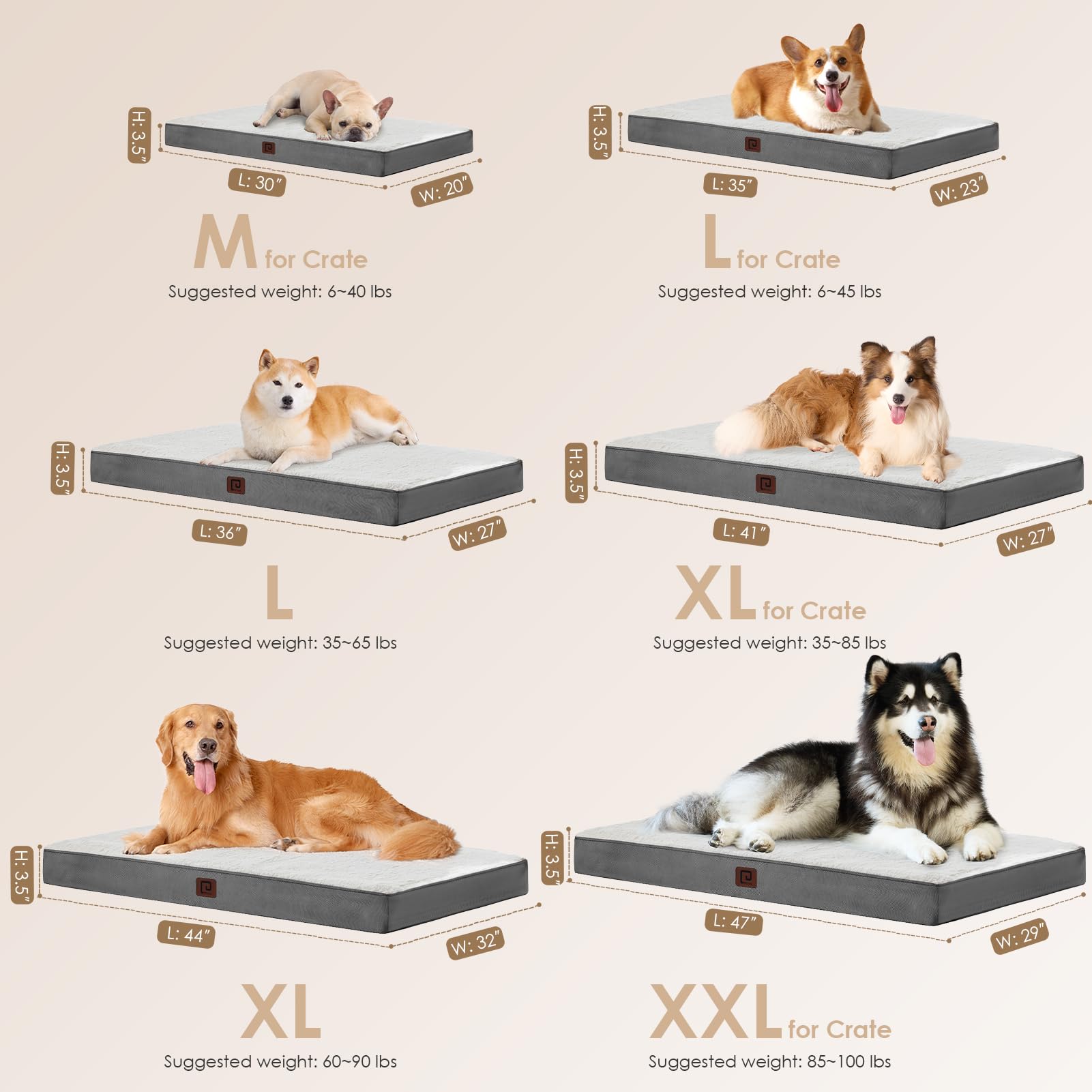 Eheyciga Orthopedic Dog Beds For Large Dogs With Removable Washable Cover, Beige, 36X27