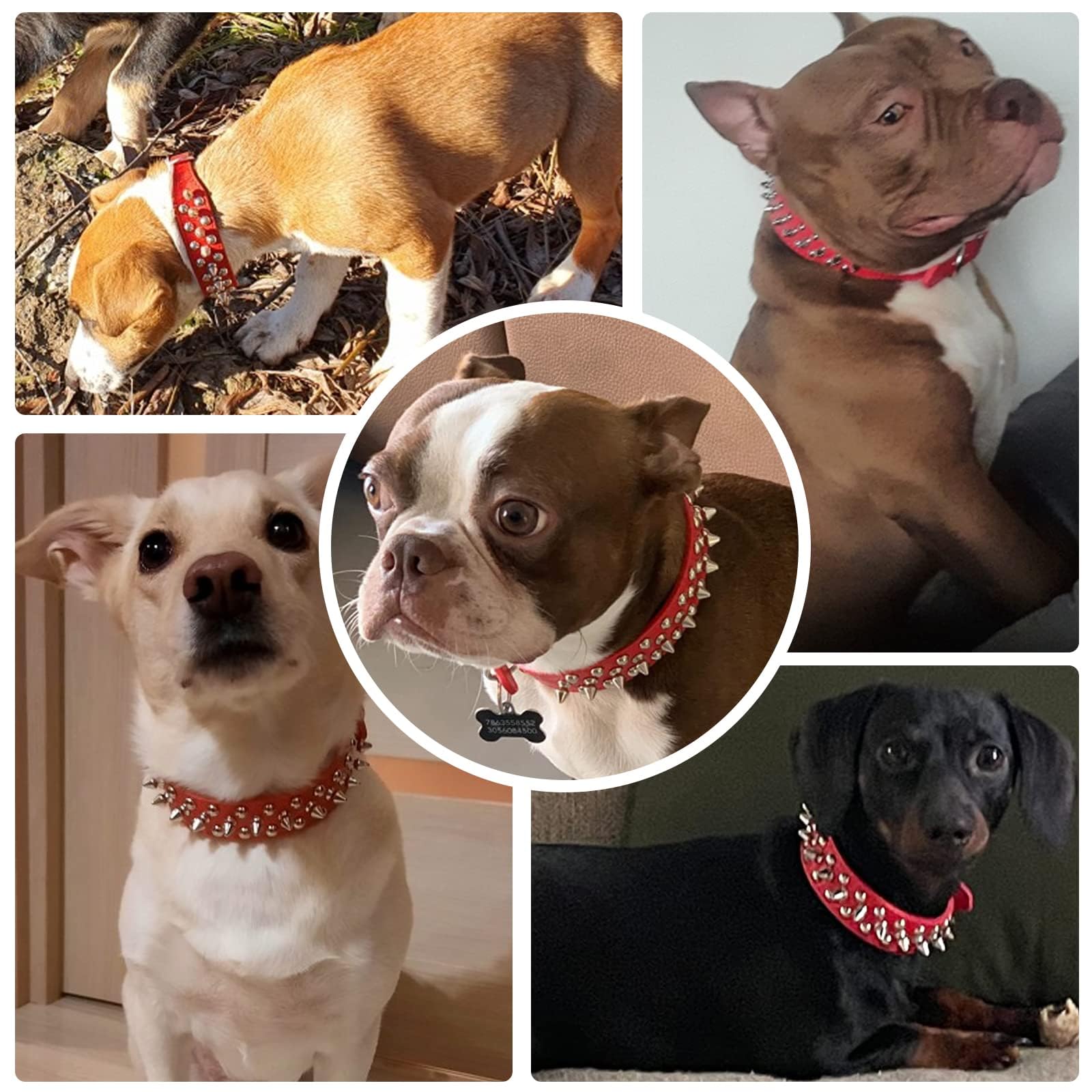 Doggyzstyle Small Spiked Red Dog Cat Collar For Small Medium Dogs Boy Male Female - Adjustable Studded Puppy Collars - Soft Padd