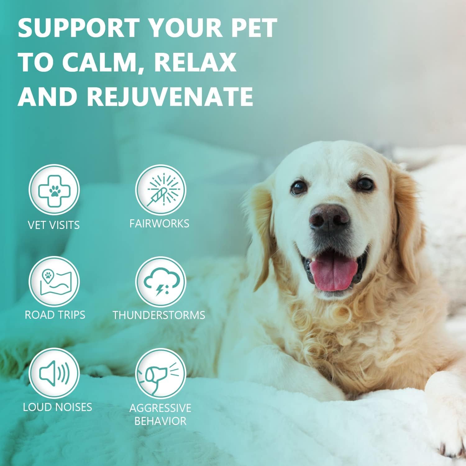 Max Potency Hemp Oil for Dogs Cats - Help Pet Anxiety Stress Pain Inflammation Arthritis Aggressive Relax Sleep Allergies Seizur