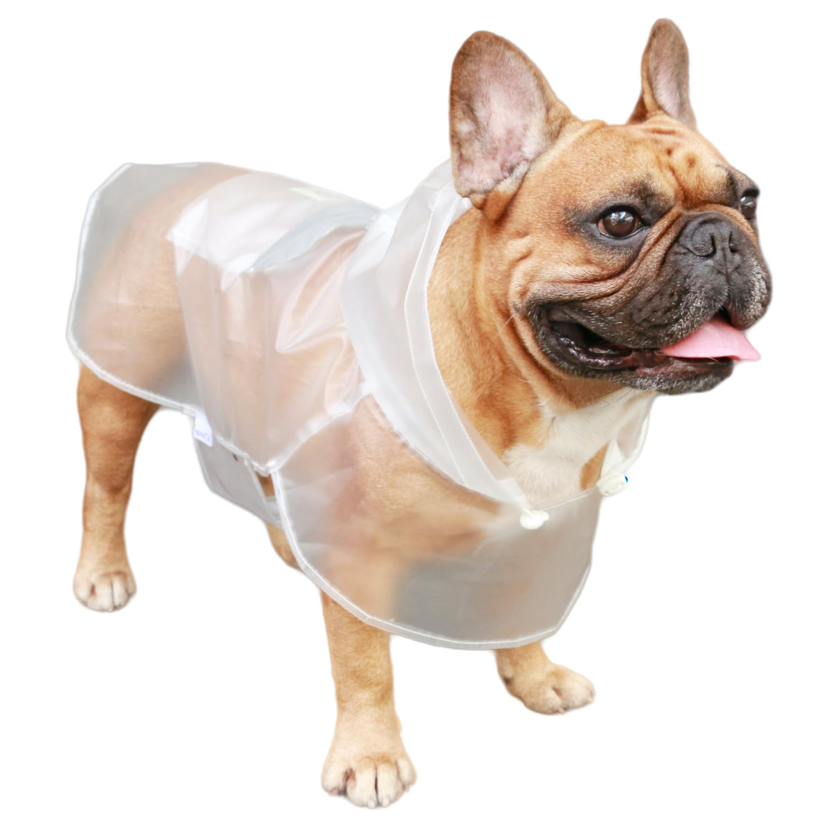 Ichoue Dog Raincoats, Packable Rain Coats, Lightweight Rain Jacket With Reflective Straps, Adjustable Poncho For Medium Dog French English Bulldog Pug Terrier (Clear, Medium)