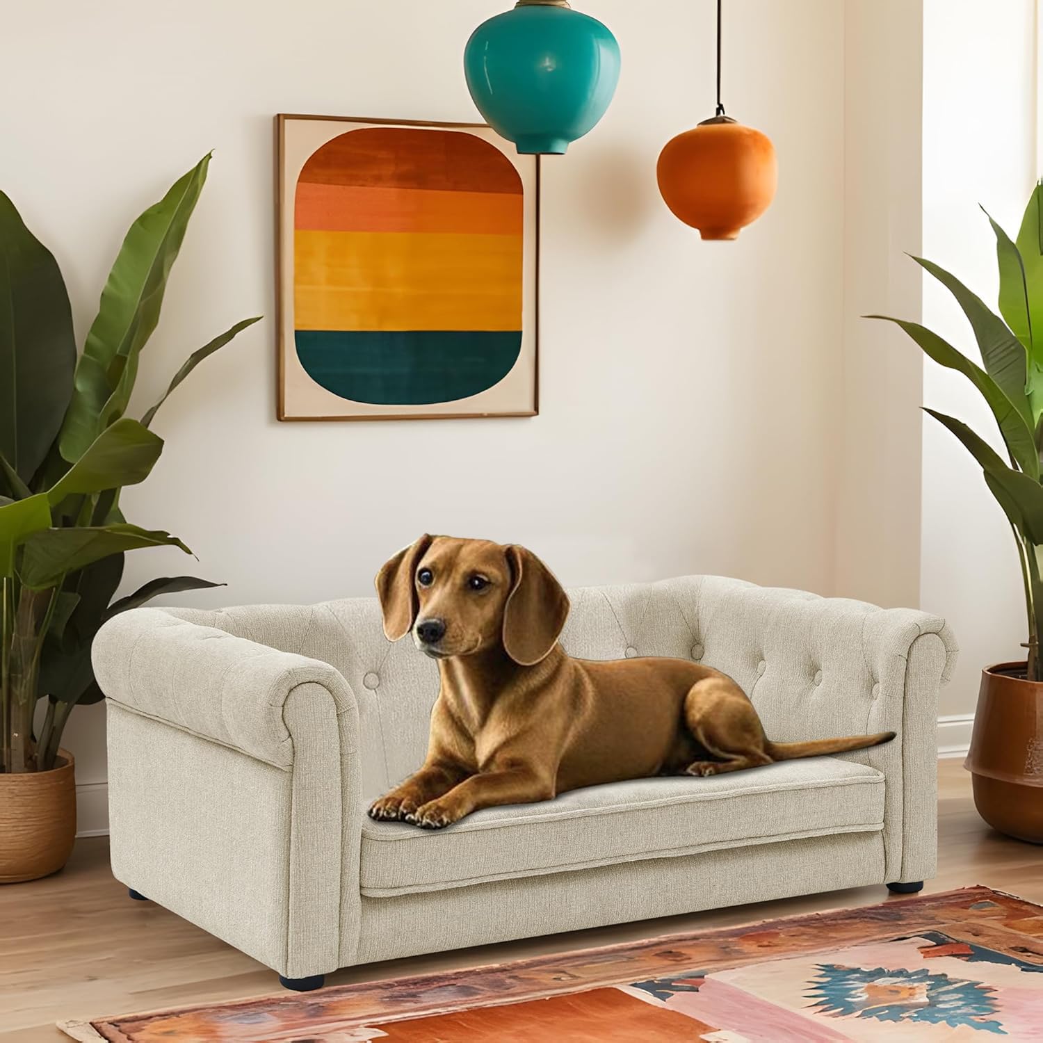 WCFI 39 Dog Couch Bed with Legs, Durable Elevated Pet Couch with 29 W Memory Foam, Dry Cleanable Fabric, Dog Sofa Bed for Large,
