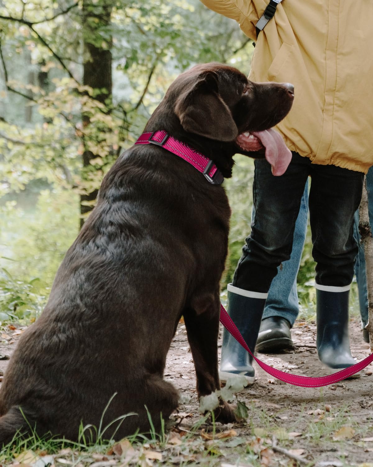 Tagme Reflective Nylon Dog Collars, Adjustable Classic Dog Collar With Quick Release Buckle For Extra Large Dogs, Hot Pink, 1¼' Width