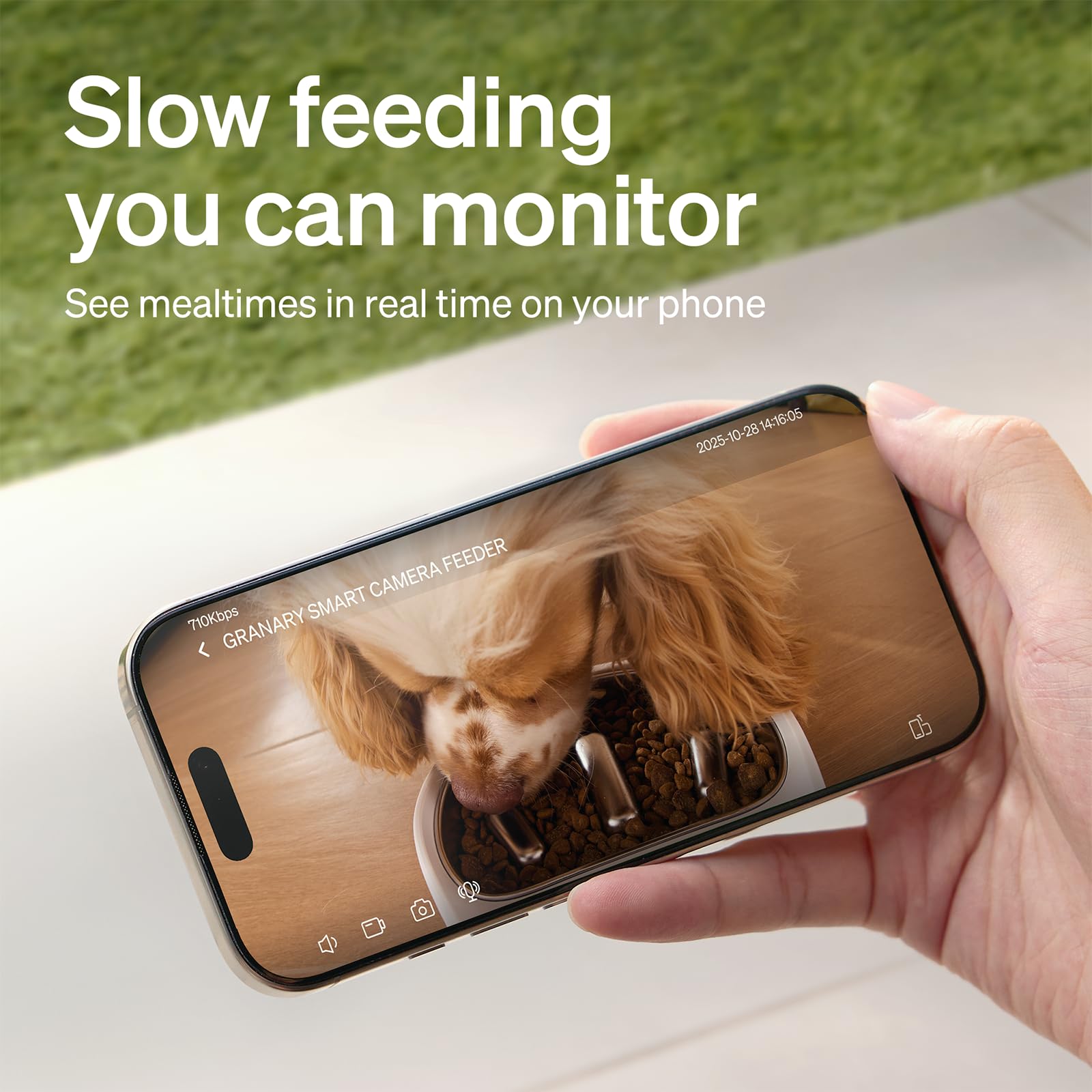 PETLIBRO Automatic Cat Feeder with Camera, Auto Pet Food Dispenser Slow Feeder Dog Bowl 1080P HD Video with Night Vision 5G WiFi
