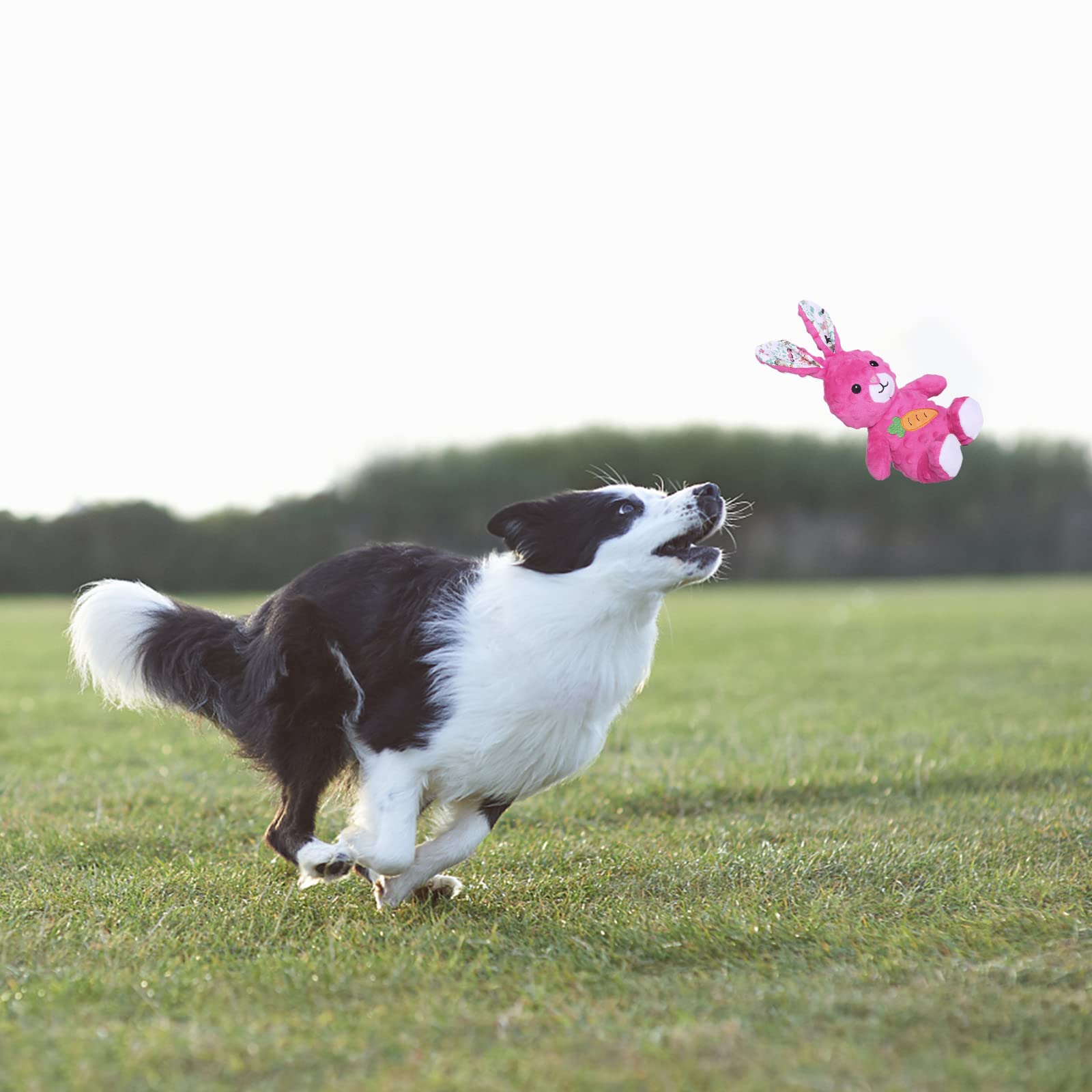 Dododola Dog Toys Stuffed Dog Toy With Crinkle Paper Cute Rabbit Plush Bunny Squeaky Dog Easter Toys Dog Chew Toys For Medium Large Breed