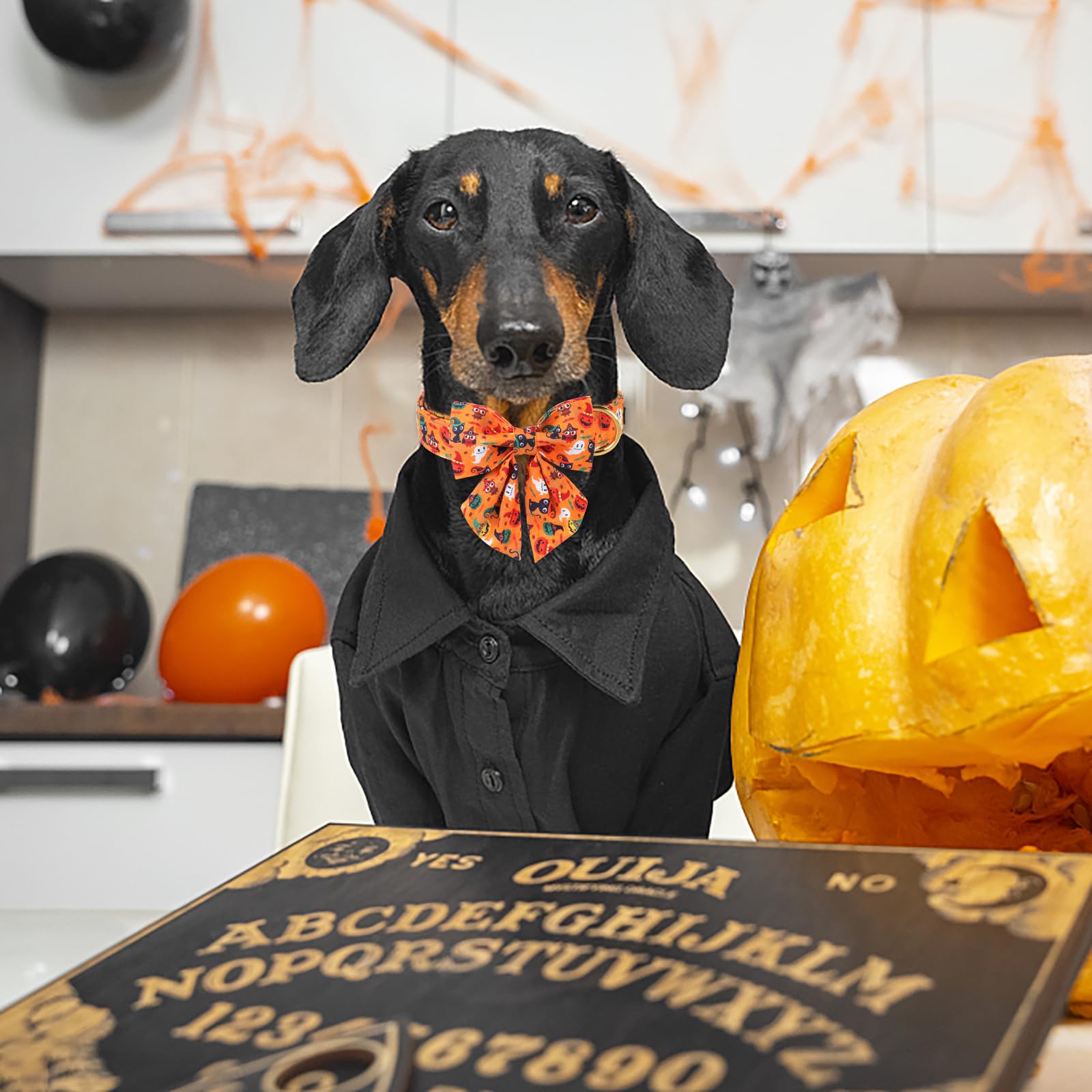 Maca Bates Halloween Dog Collar Spooky Ghost Dogs Collars With Bow Yellow Pumpkin Puppy Colar With Bowtie Adjustable Birthday Gift For Xs Small Medium Large Xl Girls Boys Male Female Dogs Pet