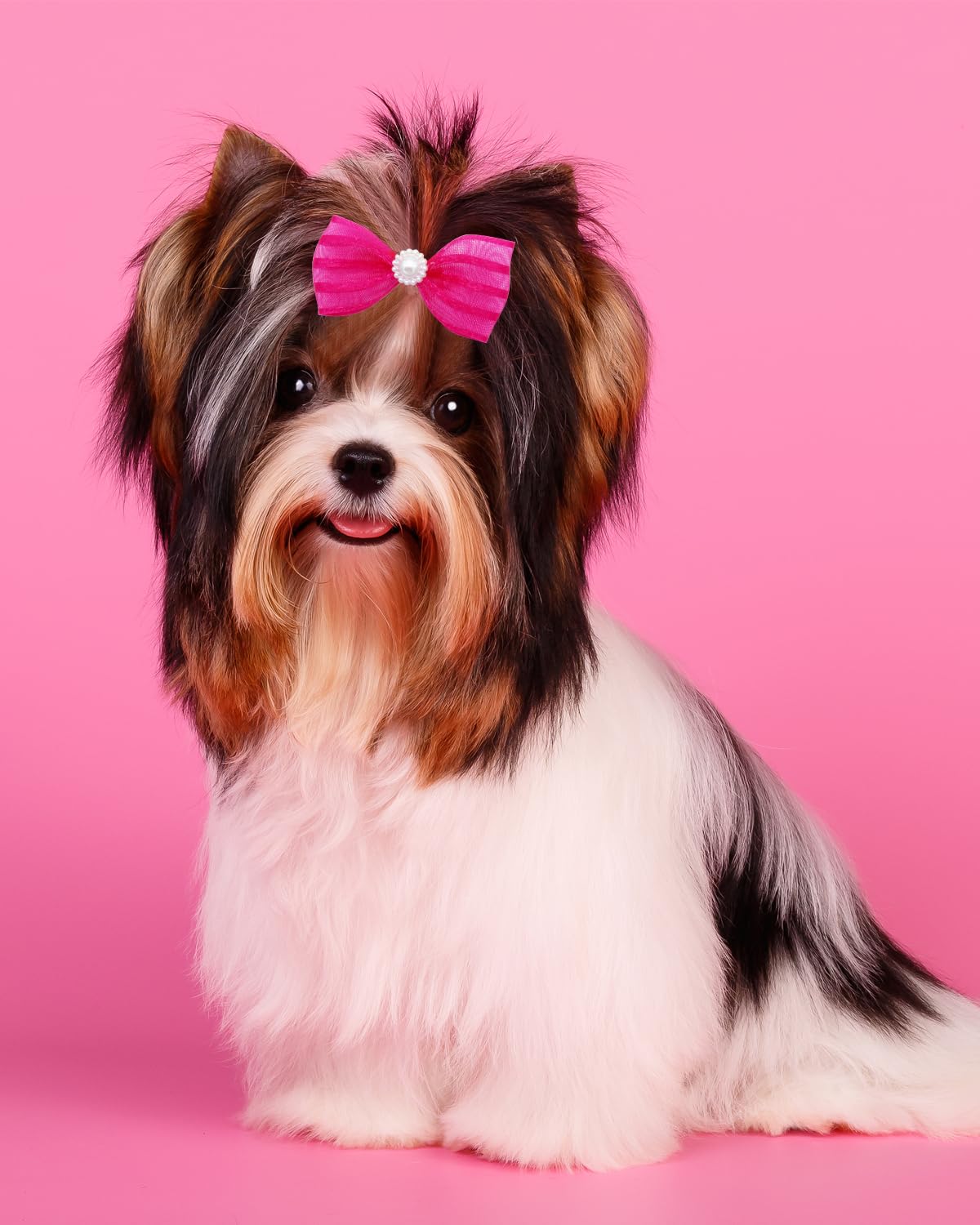 Pet Show 20 Pack Pink Small Dog Hair Bows With Rubber Bands For Medium Dogs Girl Female Holiday Puppies Cats Kittens Rabbits Top