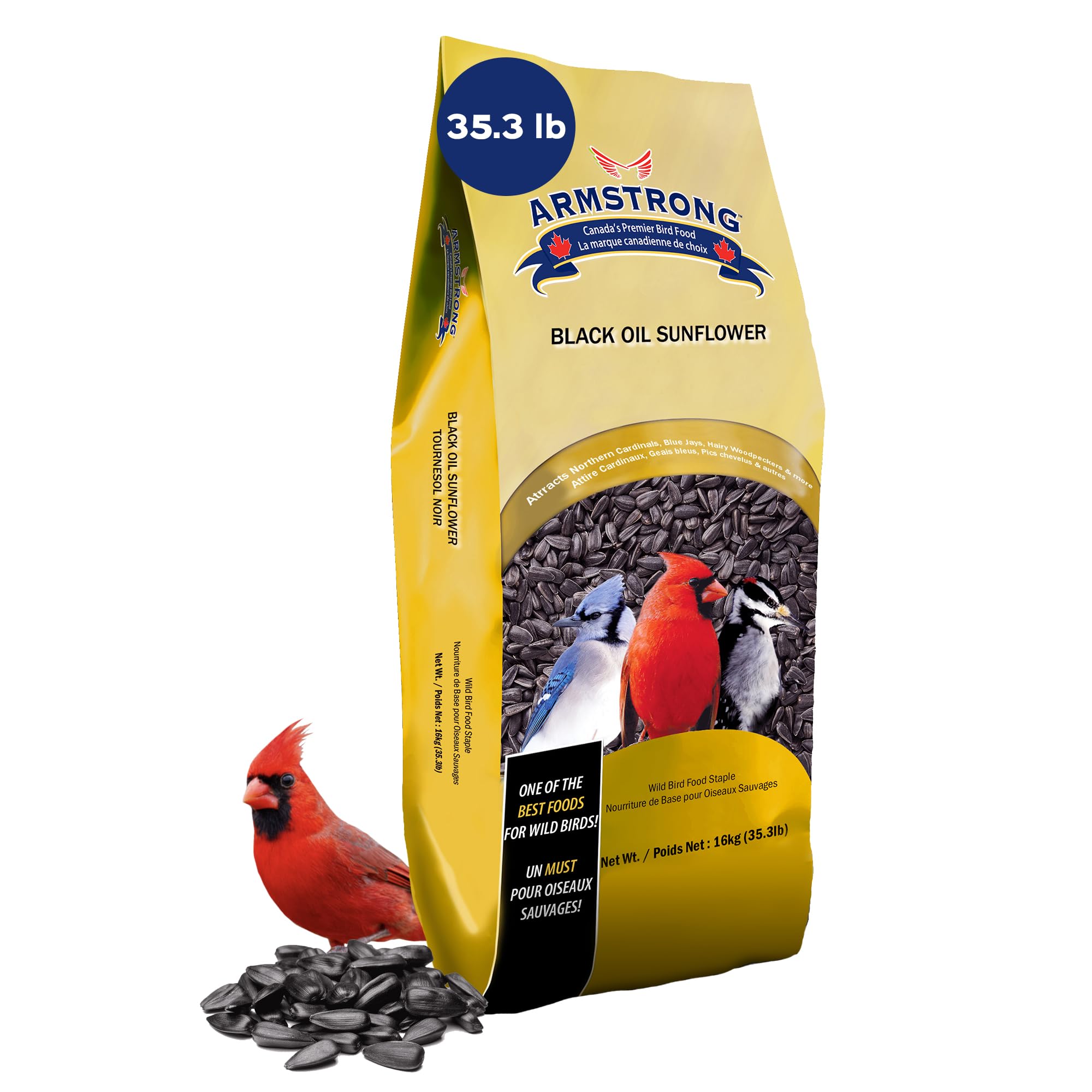 Armstrong Wild Bird Food Black Oil Sunflower Bird Seed, 35.3 Pounds - for Northern Cardinals, Blue Jays and Hairy Woodpeckers fo