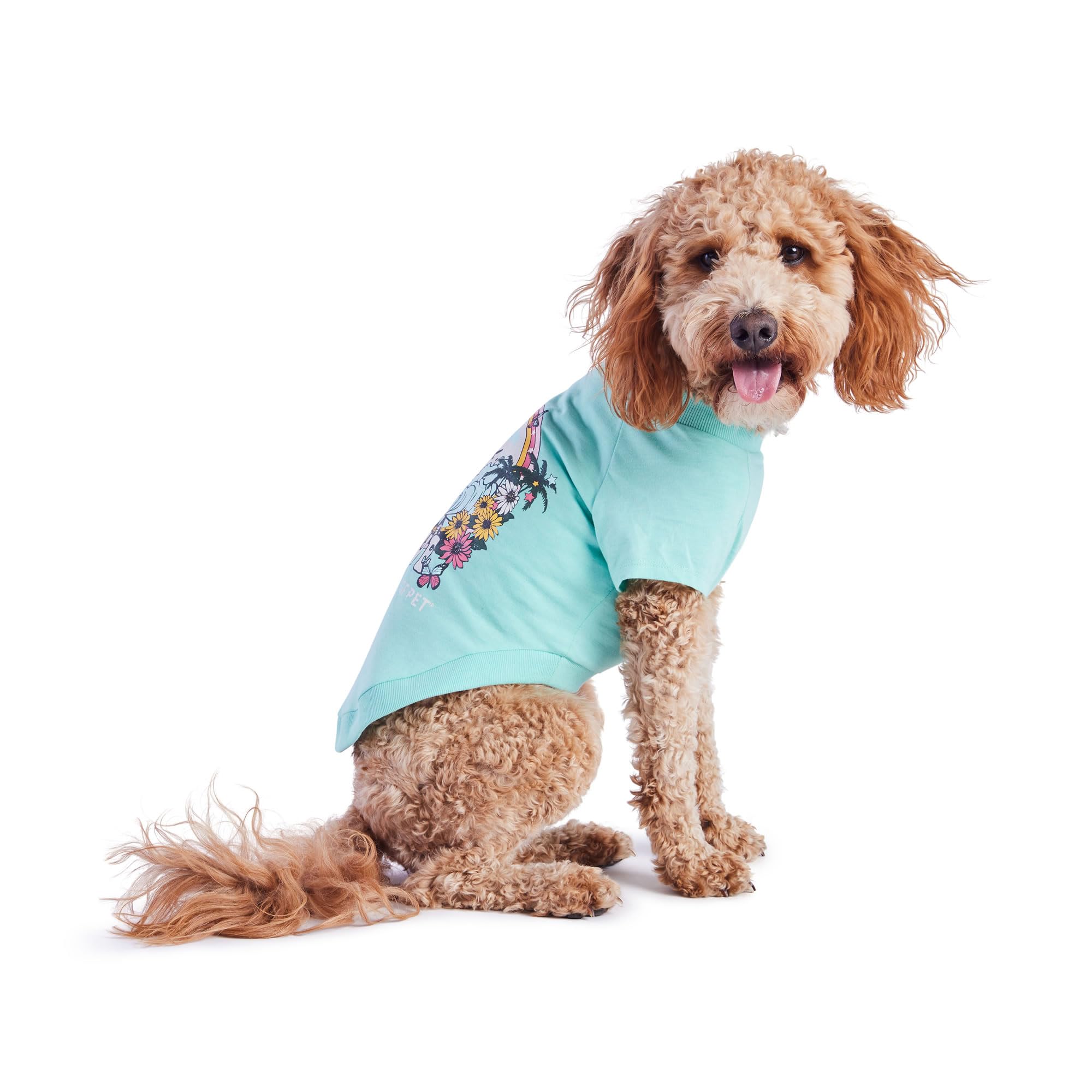 Gf Pet - Graphic Tee Dog T-Shirt (Heather Aqua, X-Small)