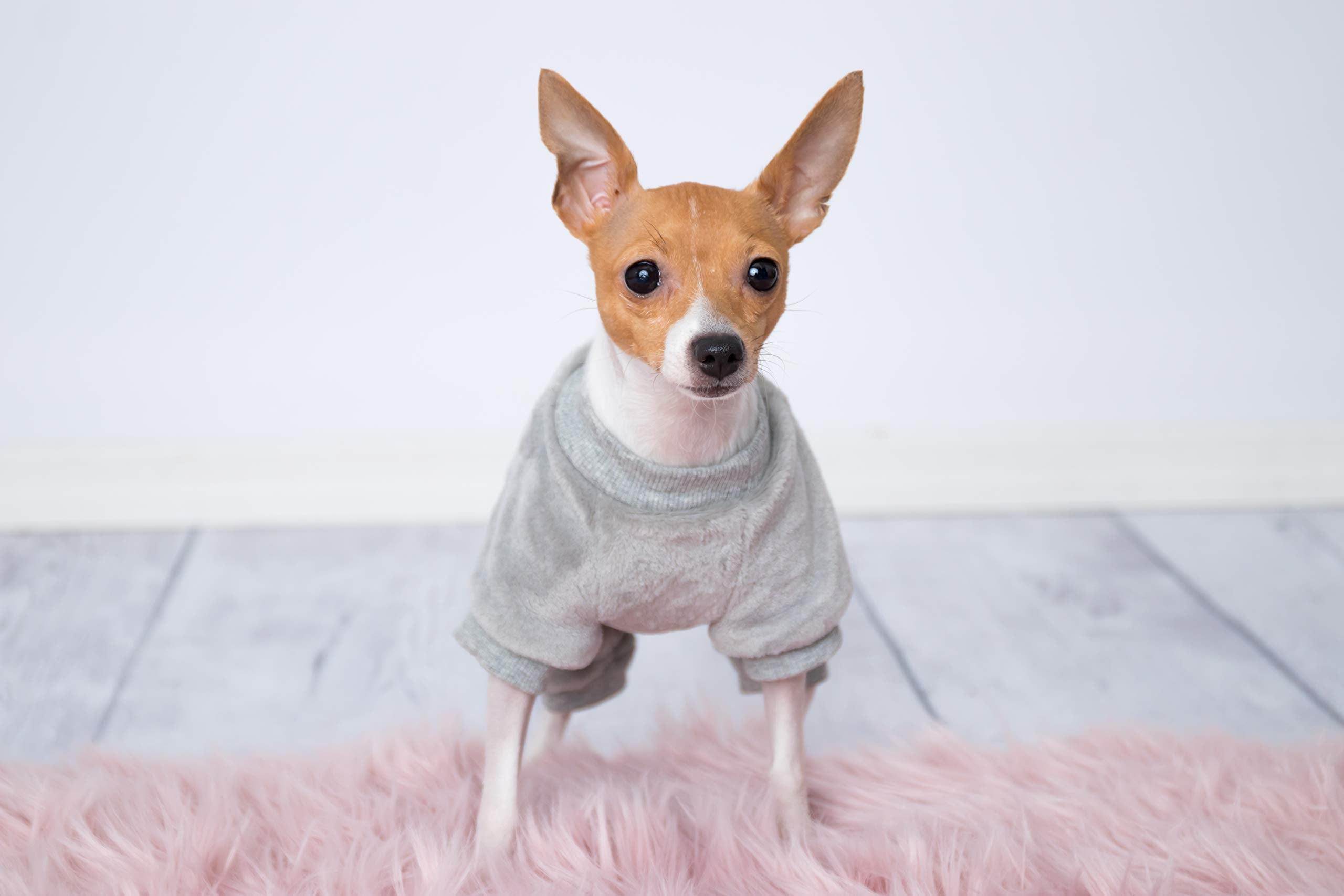 Parisian Pet Dog Pajamas – Grey Dogs Pjs – Stretchable Fleece Dog Pants – Dog Shedding Suit - Machine Washable Dog Jammies - Puppy Body Suit – Dog Pajamas For Large-Sized Dogs - L