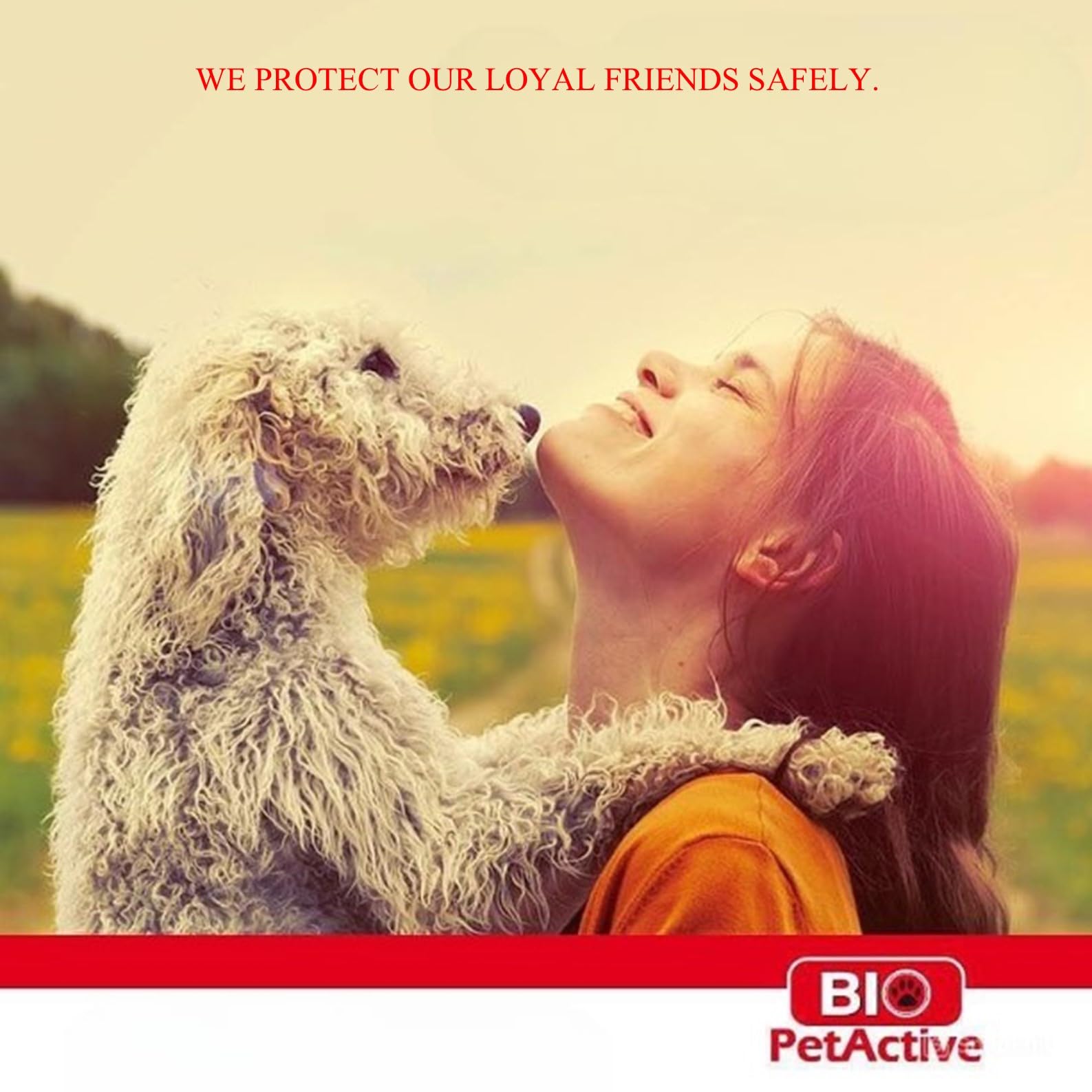 Bio Pet Active Beauty Shine Spray For Cats And Dogs - Improves Coat Health, Reduces Static And Adds Shine, Moisturizes And Softe
