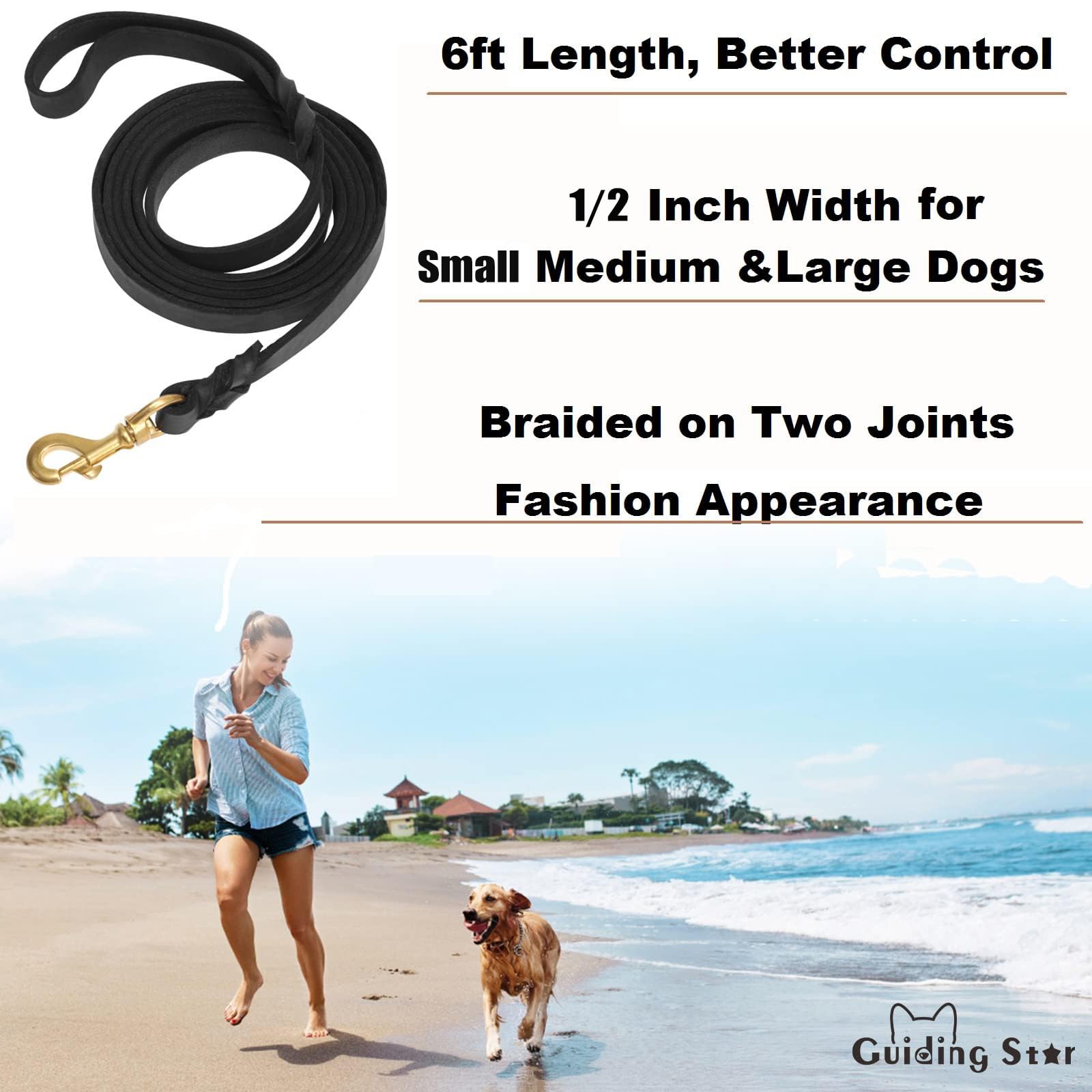 Guiding Star Leather Dog Leash 6ft, Dog Leashes for Large Dogs Heavy Duty, Soft Durable Braided Handmade Leather Training Leash