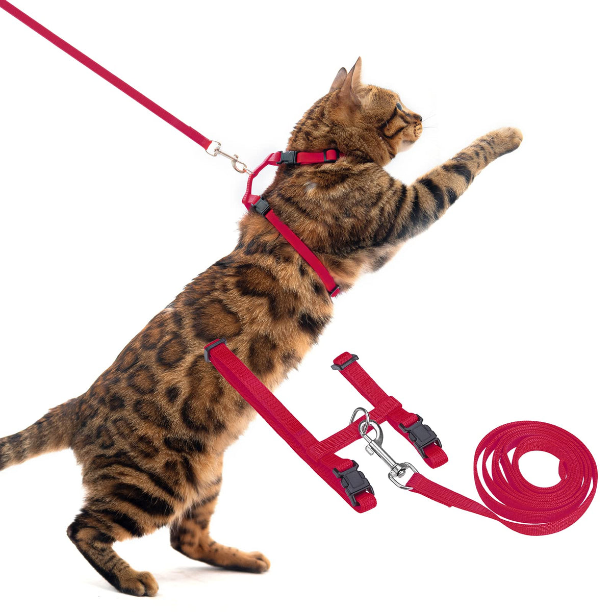 Pupteck Adjustable Cat Harness And Leash Set Escape Proof Kitten Strap Collar For Walking Travel, Red