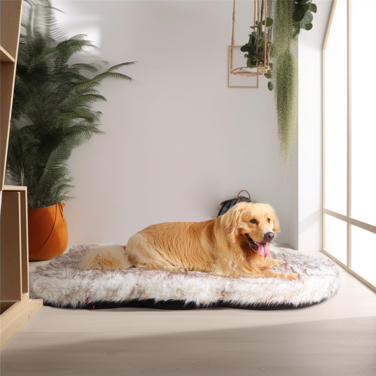 Laifug Luxury Faux Fur Dog Bed - 5" Thick Orthopedic Memory Foam - XX-Large (60"x35") - White