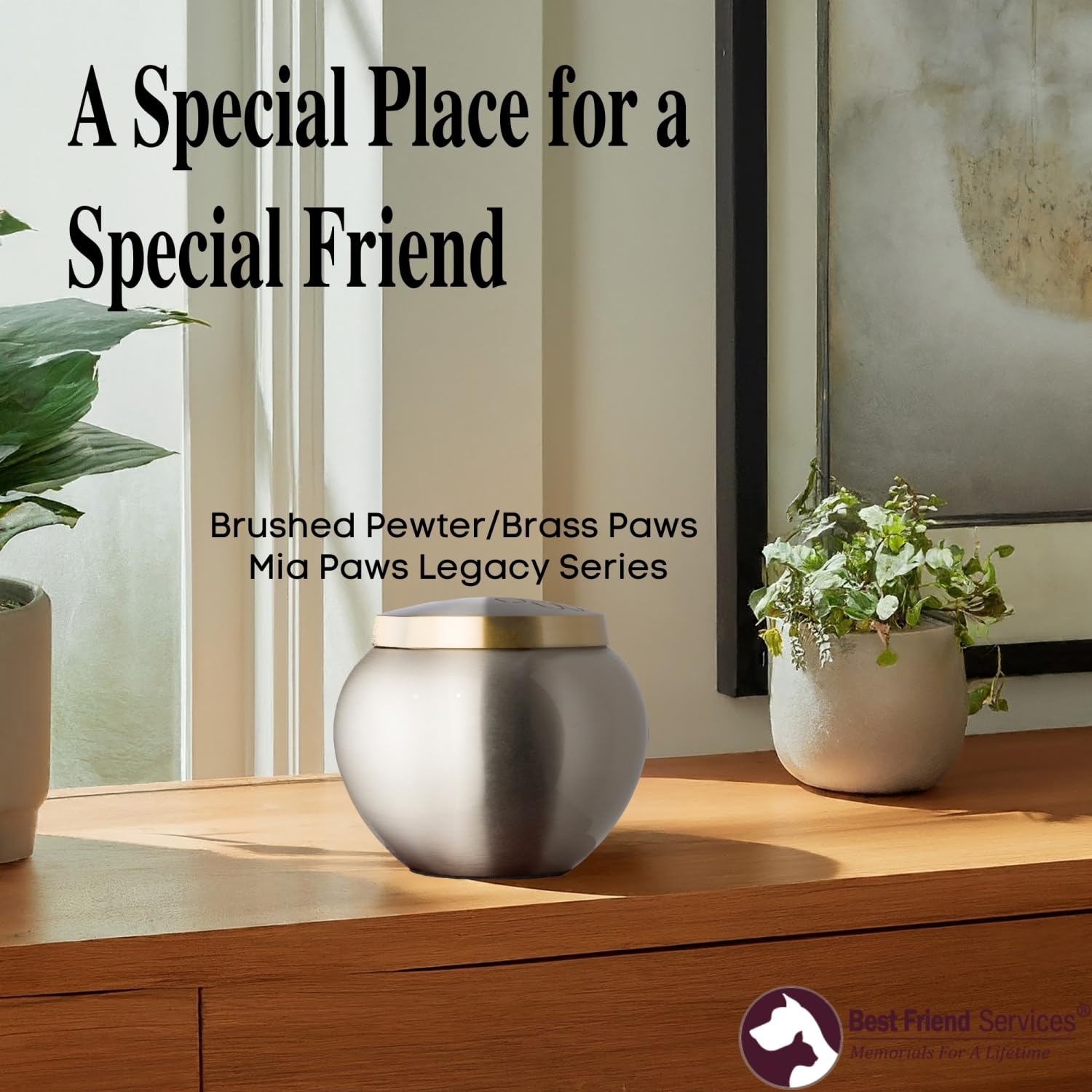 Best Friend Services Pet Urn - Memorial Cremation Pet Urns For Dog And Cat Ashes, Hand Carved Mia Series Urn For Pets Up To 40Lb