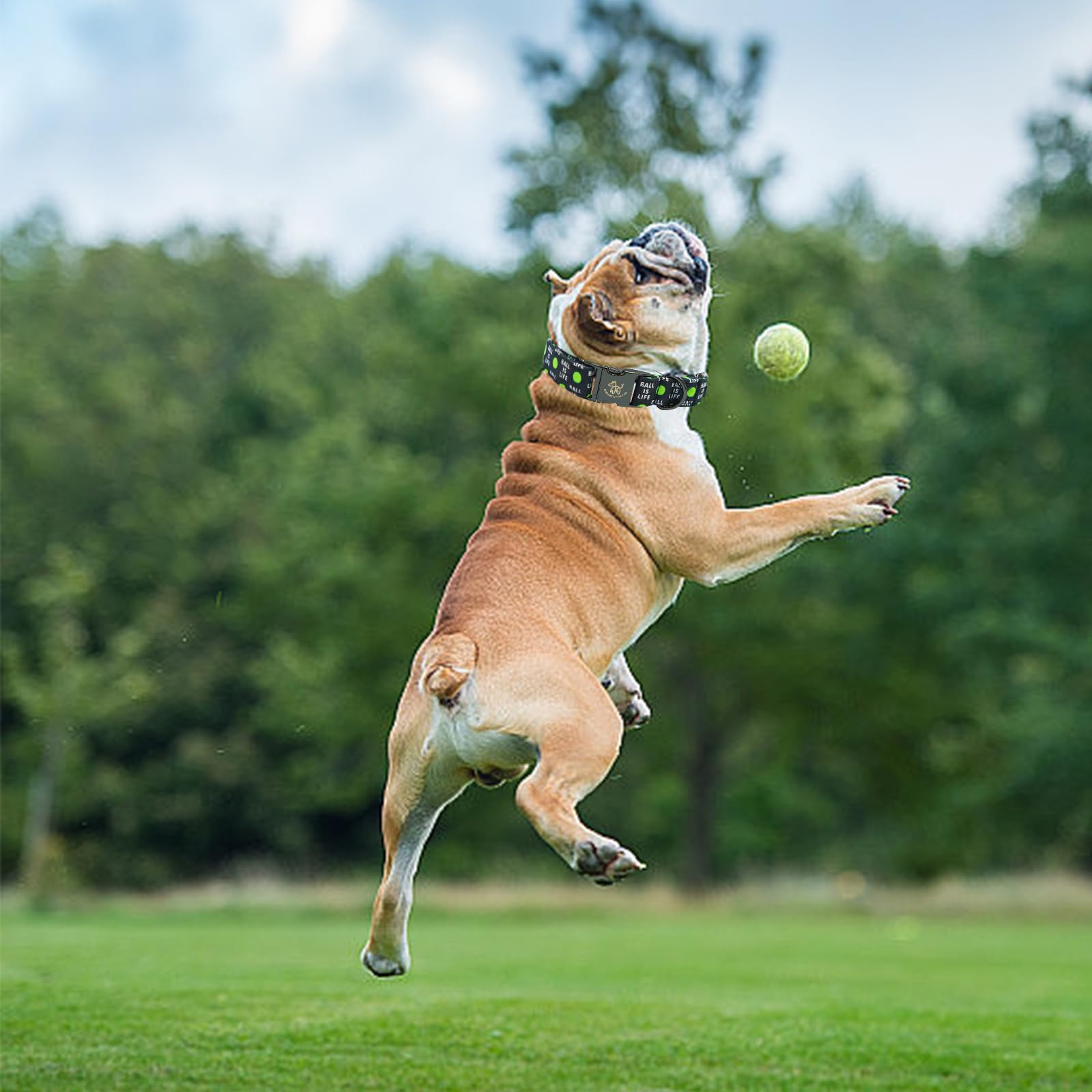 Elegant Little Tail Dog Collar, Holiday Pet Collar Boy Dog Collar Durable Dog Collars Ball Print Soft Pet Gift Adjustable Dog Co