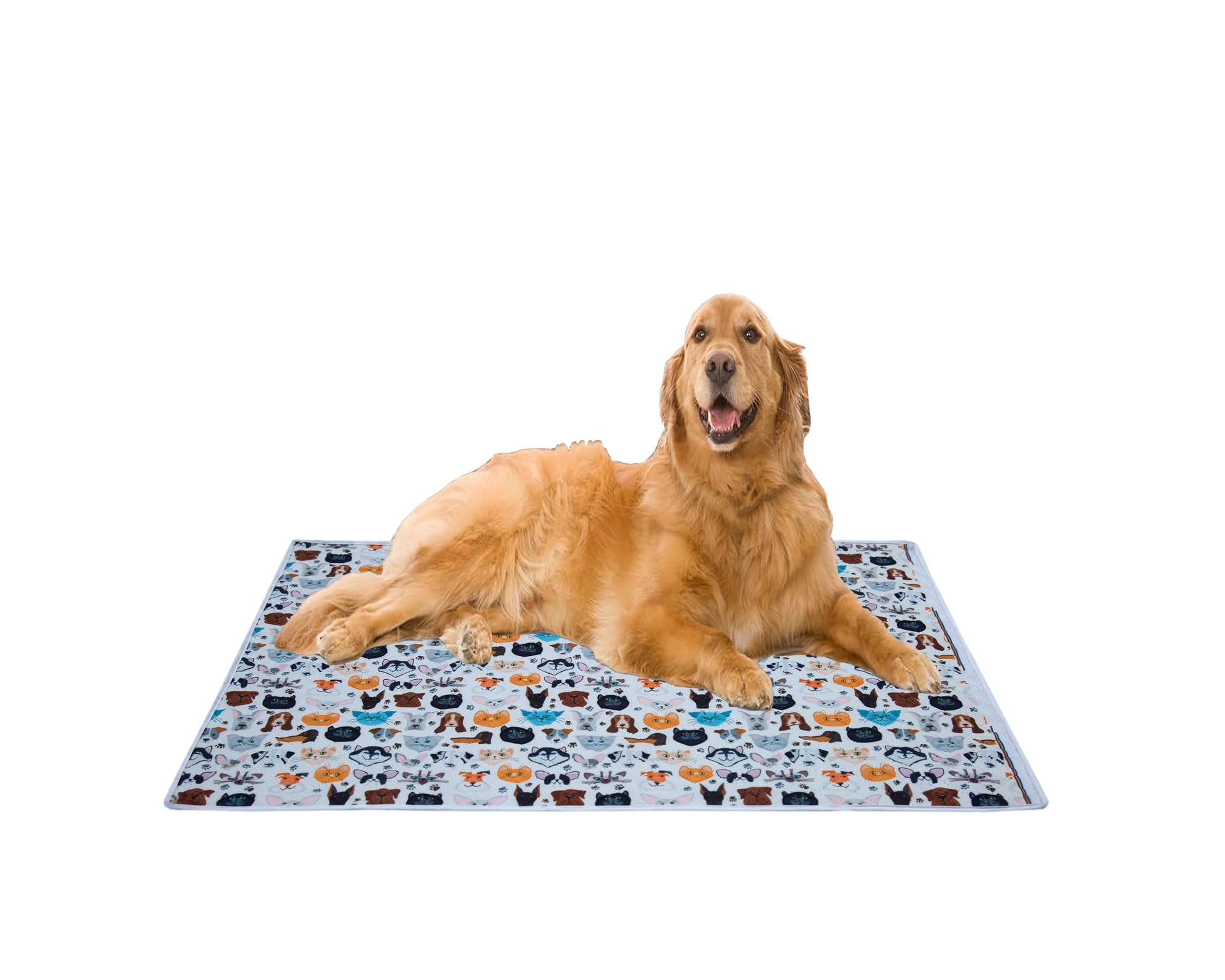 Aazeem Soft Light Weight Mat For Dogs, Cats & Pets, Skin Friendly Mat| Floormat | Pet Area Carpet | AntiSpill 40 X 53 Inches |C