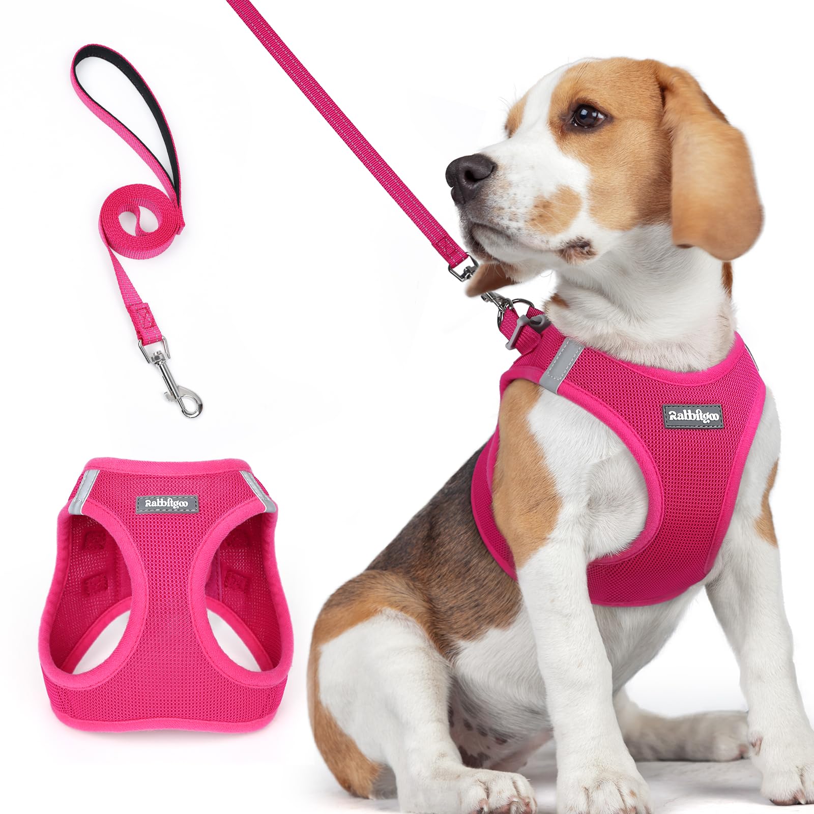 Rabbitgoo Dog Harness Small Medium Sized And Leash Set, Step In Soft Light Puppy Vest, Breathable Mesh Pet Harness, Reflective F