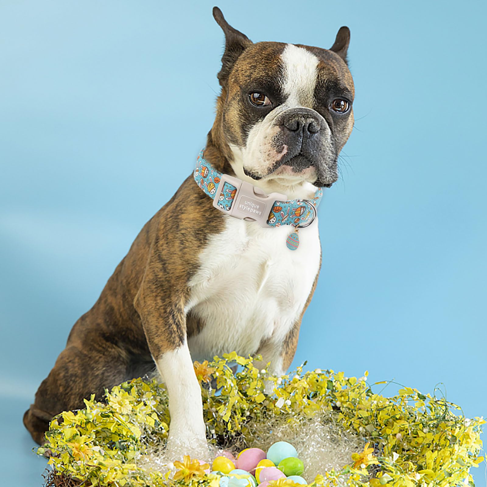 Unique Style Paws Easter Dog Collar Plastic Buckle Puppy Collar With Pendant Blue Sports Rabbit Ball Egg Puppy Collars For Small