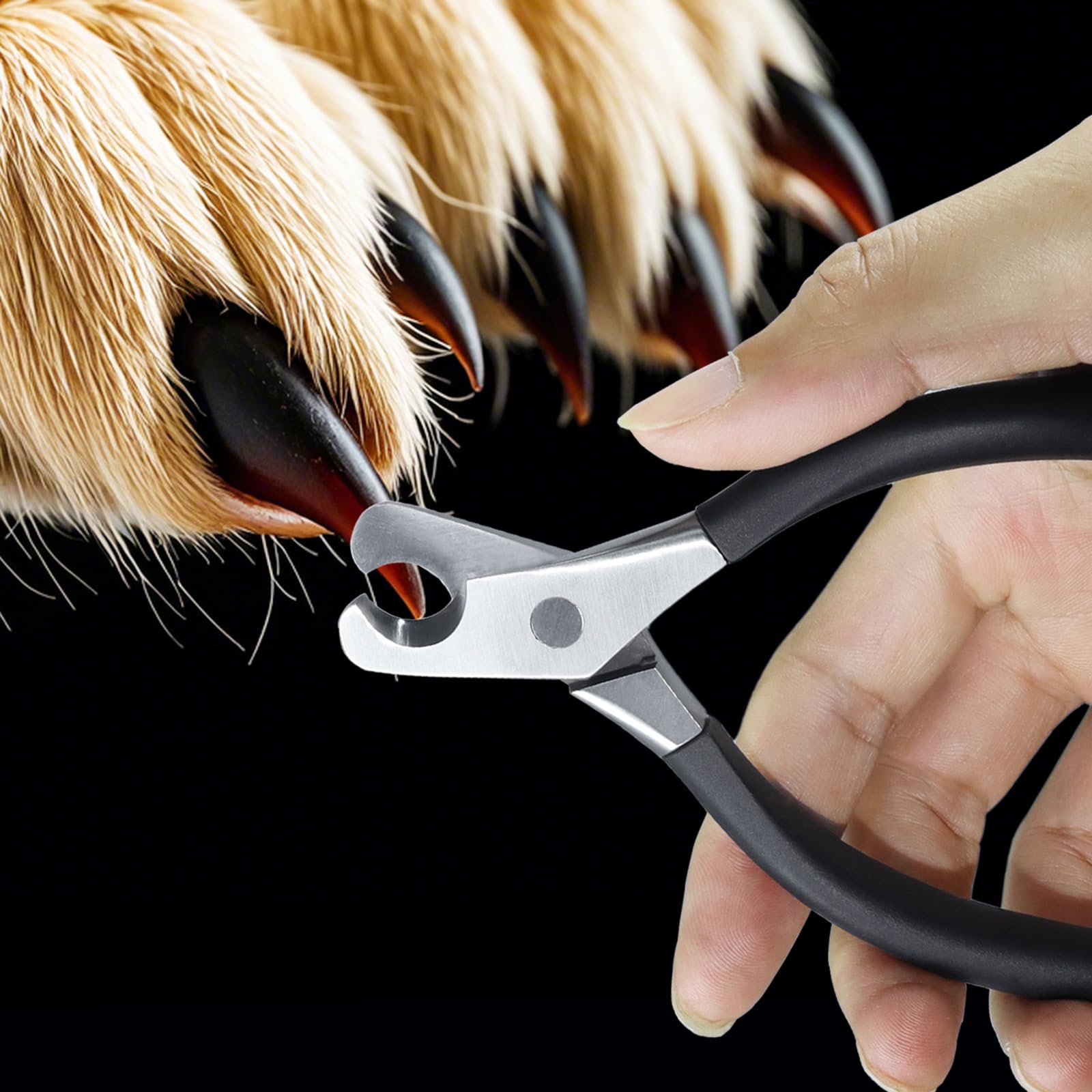 Sg Nekoo Large Dog Nail Clippers And File Set For Thick Nails Heavy Duty 420 Stainless Steel Grooming Kit, Anti-Slip Handle &Pu