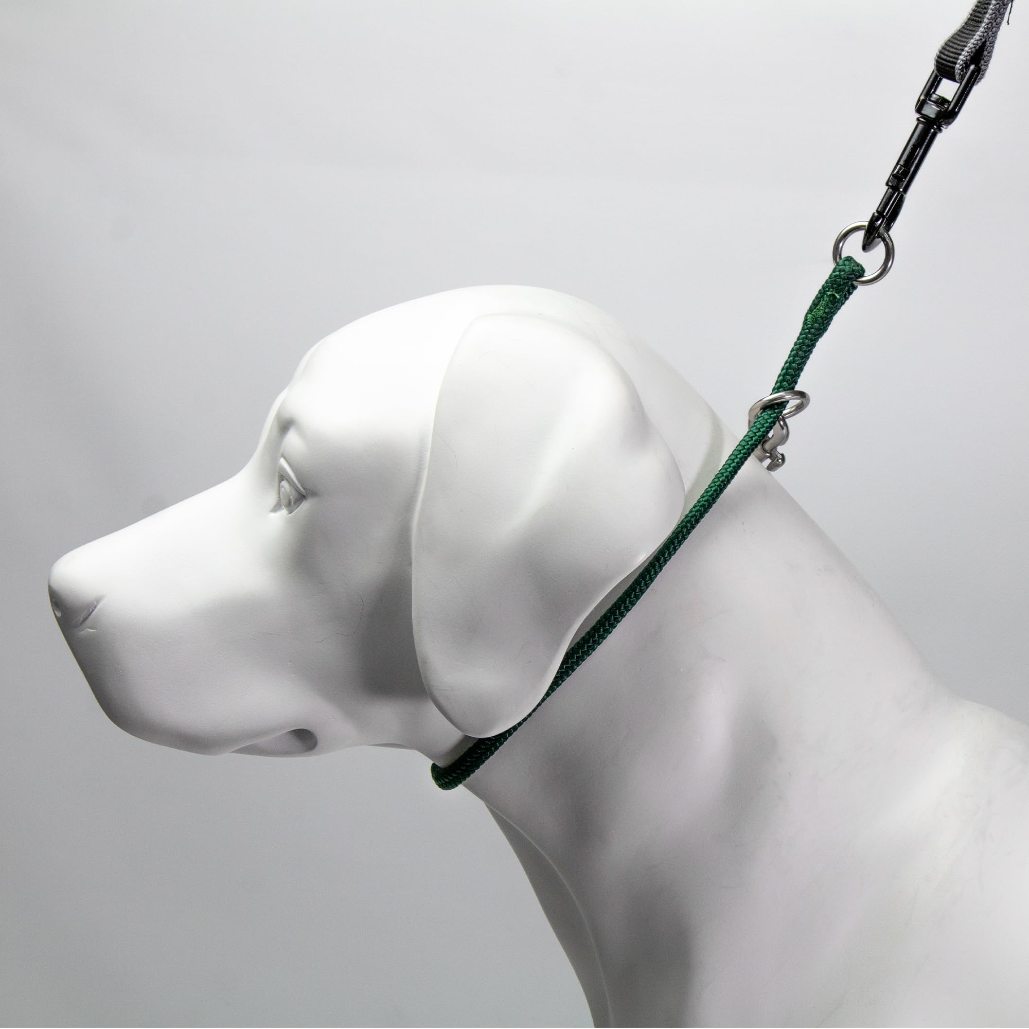 Dominant Dog Collar (16, Hunter Green)