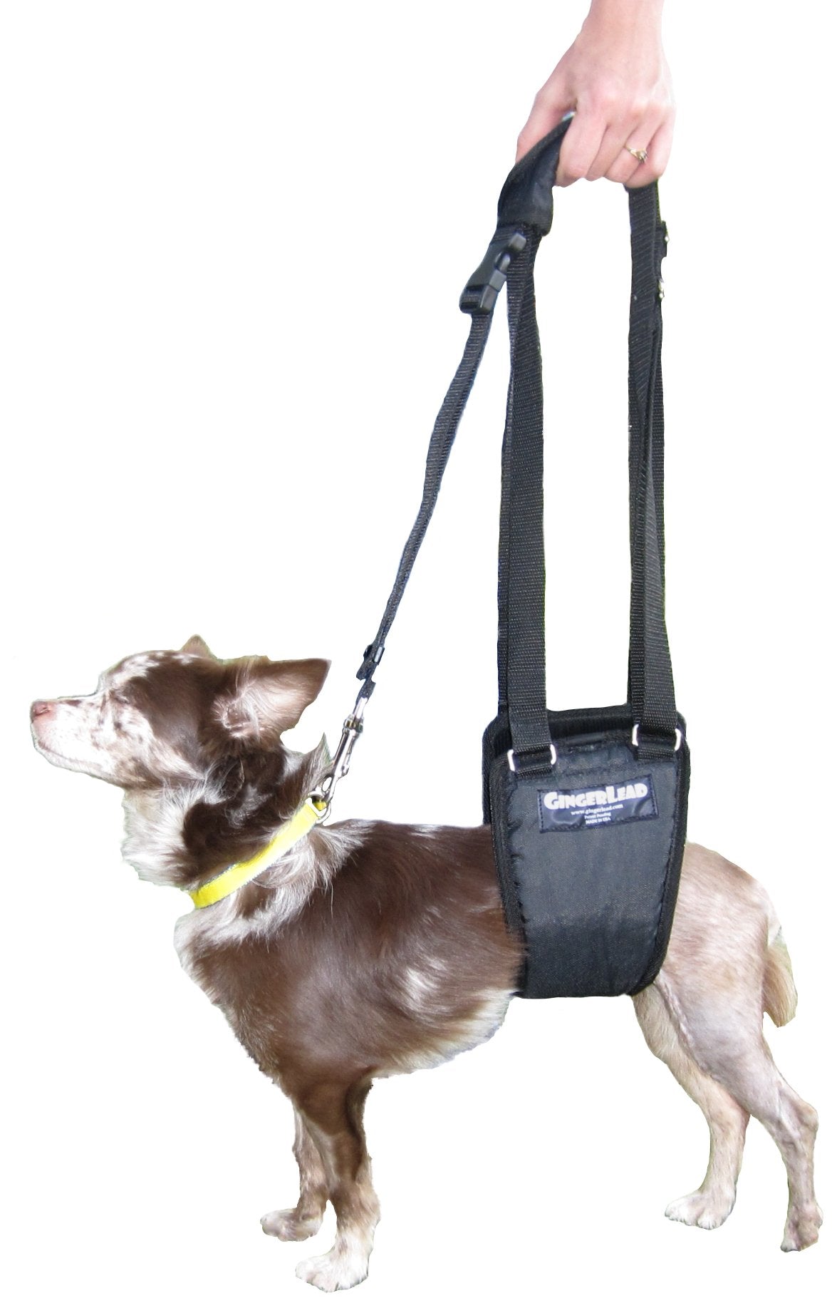 GINGERLEAD Dog Sling Hip Support Harness, SM Male fits Small to Medium Size Pets 20-65 lbs. (Male Dachshunds use X-Small Size) o