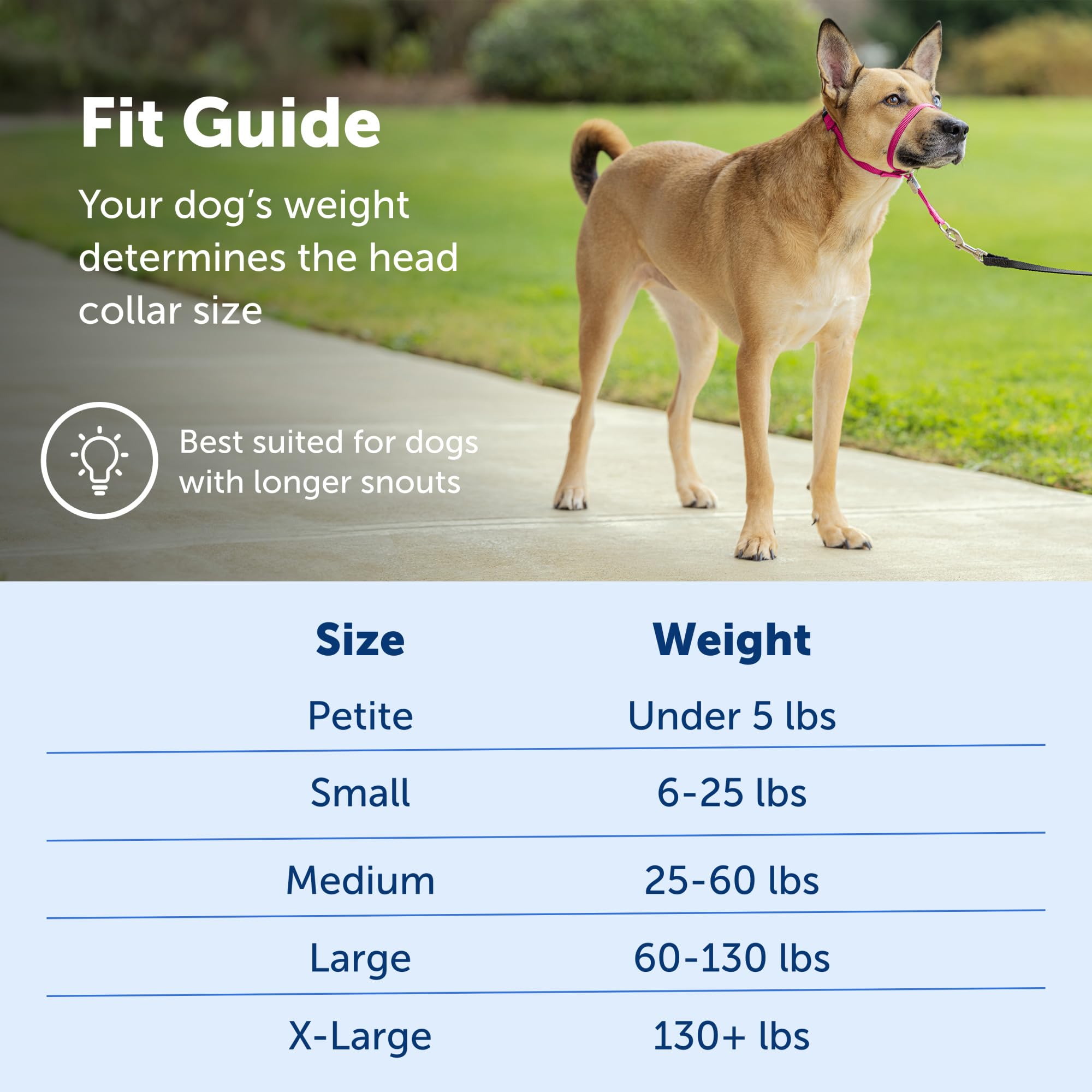 Petsafe Gentle Leader No-Pull Dog Headcollar - The Ultimate Solution To Pulling - Redirects Your Dog'S Pulling For Easier Walks - Helps You Regain Control - Medium, Deep Purple