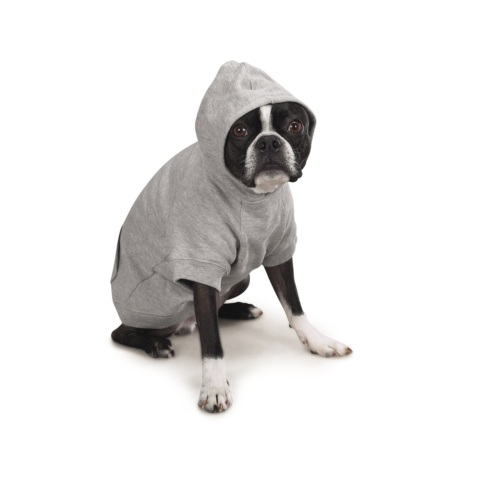 Zack & Zoey Basic Hoodie For Dogs, 16' Medium, Heather Gray