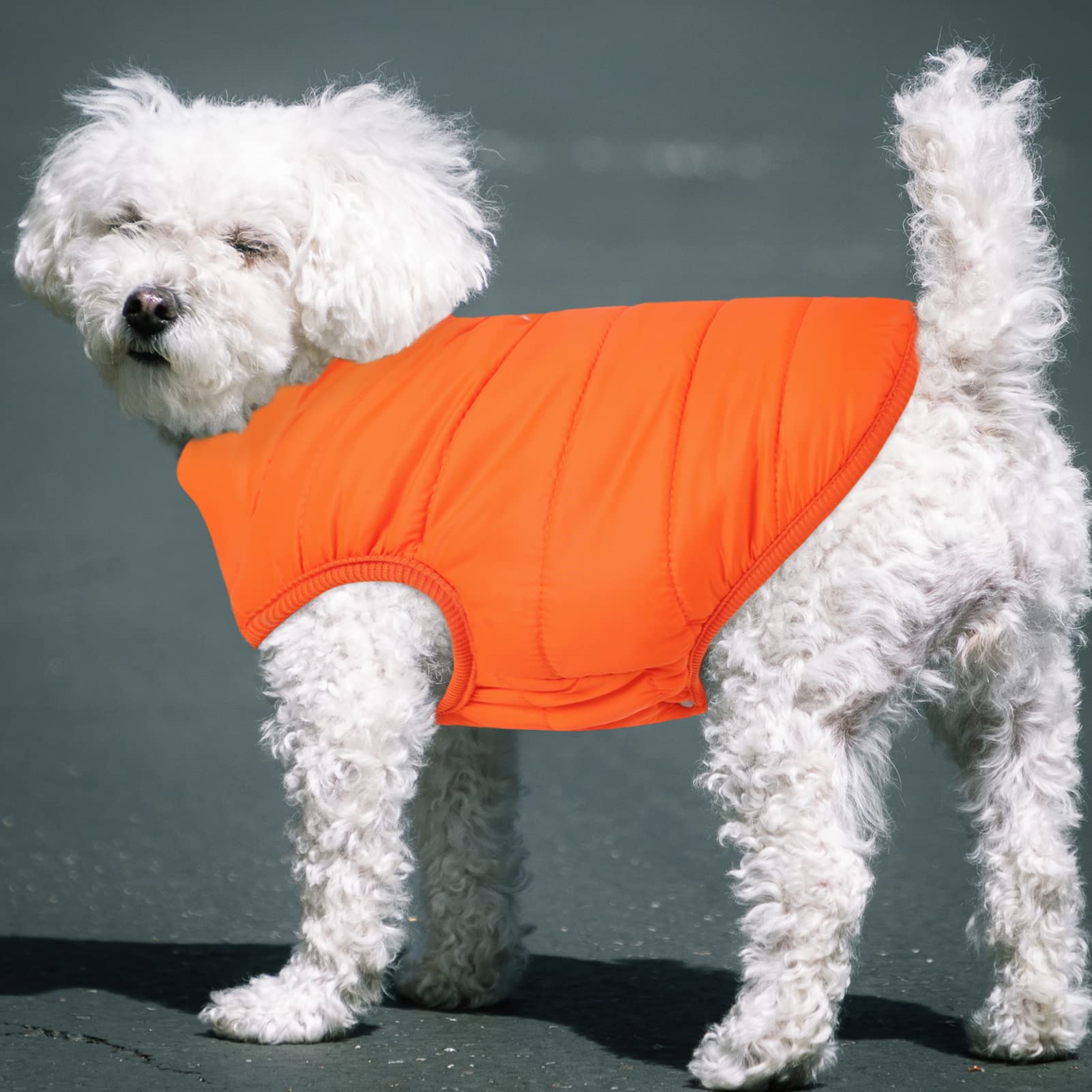 Asenku Windproof Dog Winter Coat Waterproof Dog Jacket Warm Dog Vest Cold Weather Pet Apparel With 2 Layers Fleece Lined For Small Medium Large Dogs (Orange, 3Xl)