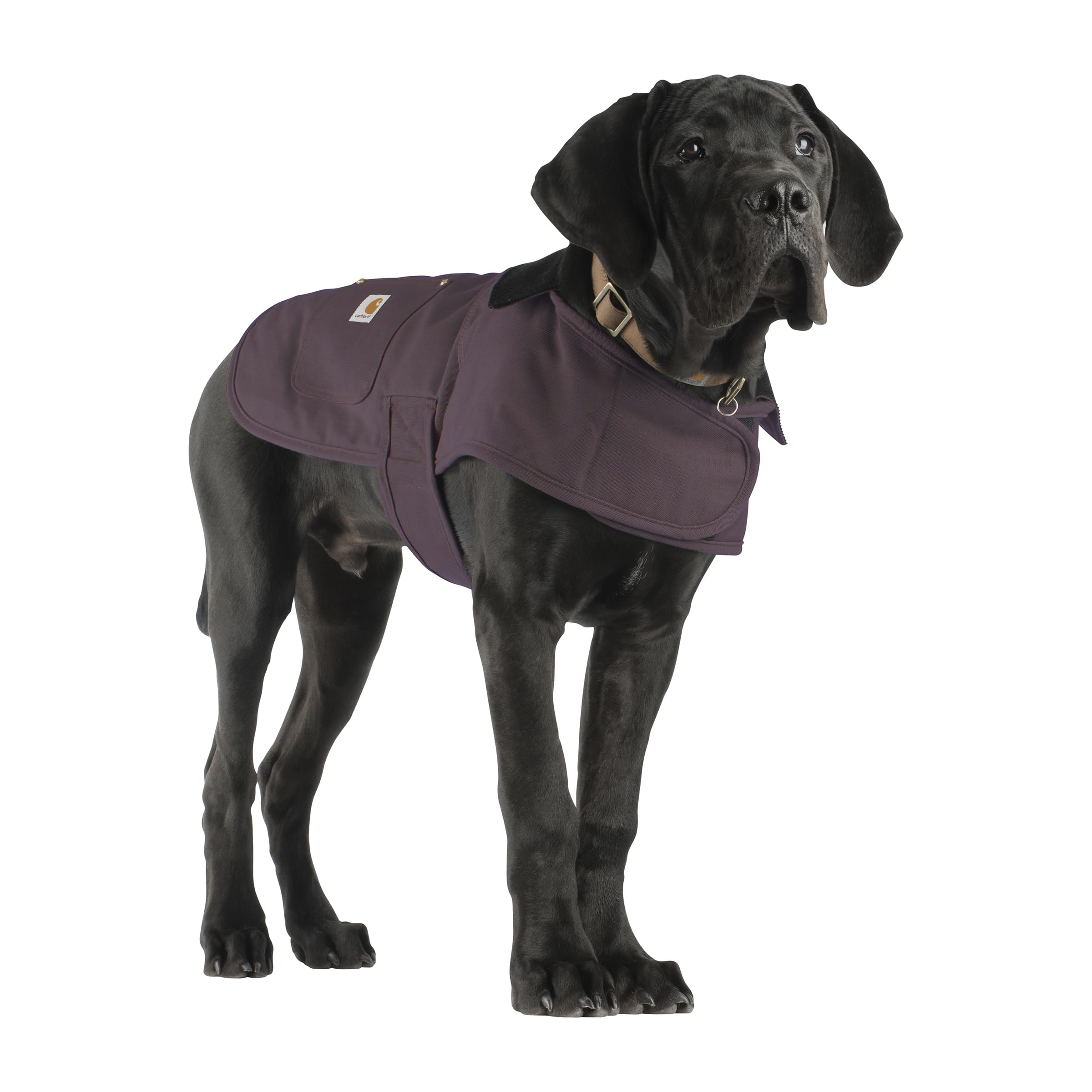 Carhartt Firm Duck Insulated Dog Chore Coat, Durable Weather Resistant Jacket For Cold And Windy Conditions, Contains Pfas (Deep Wine), Medium