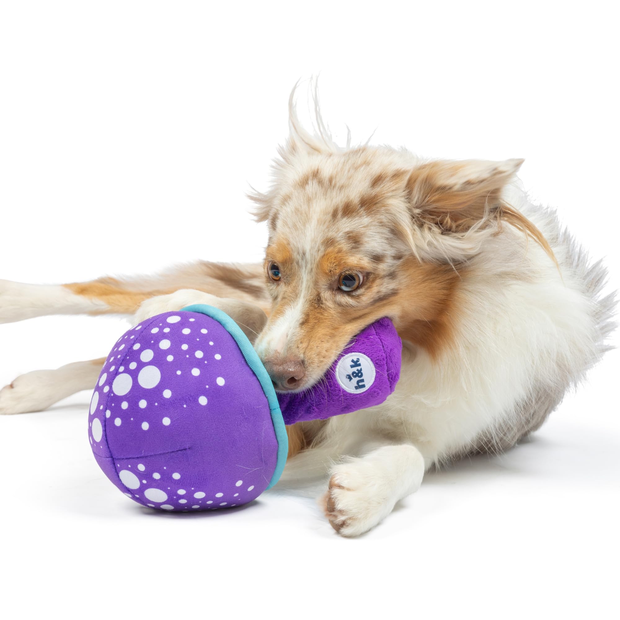 Huxley & Kent For Dogs | Mellow Mushroom (Large) | Funny Dog Toy | Power Plush Dog Toy With Squeaker | Dog Gift | Fun, Durable |