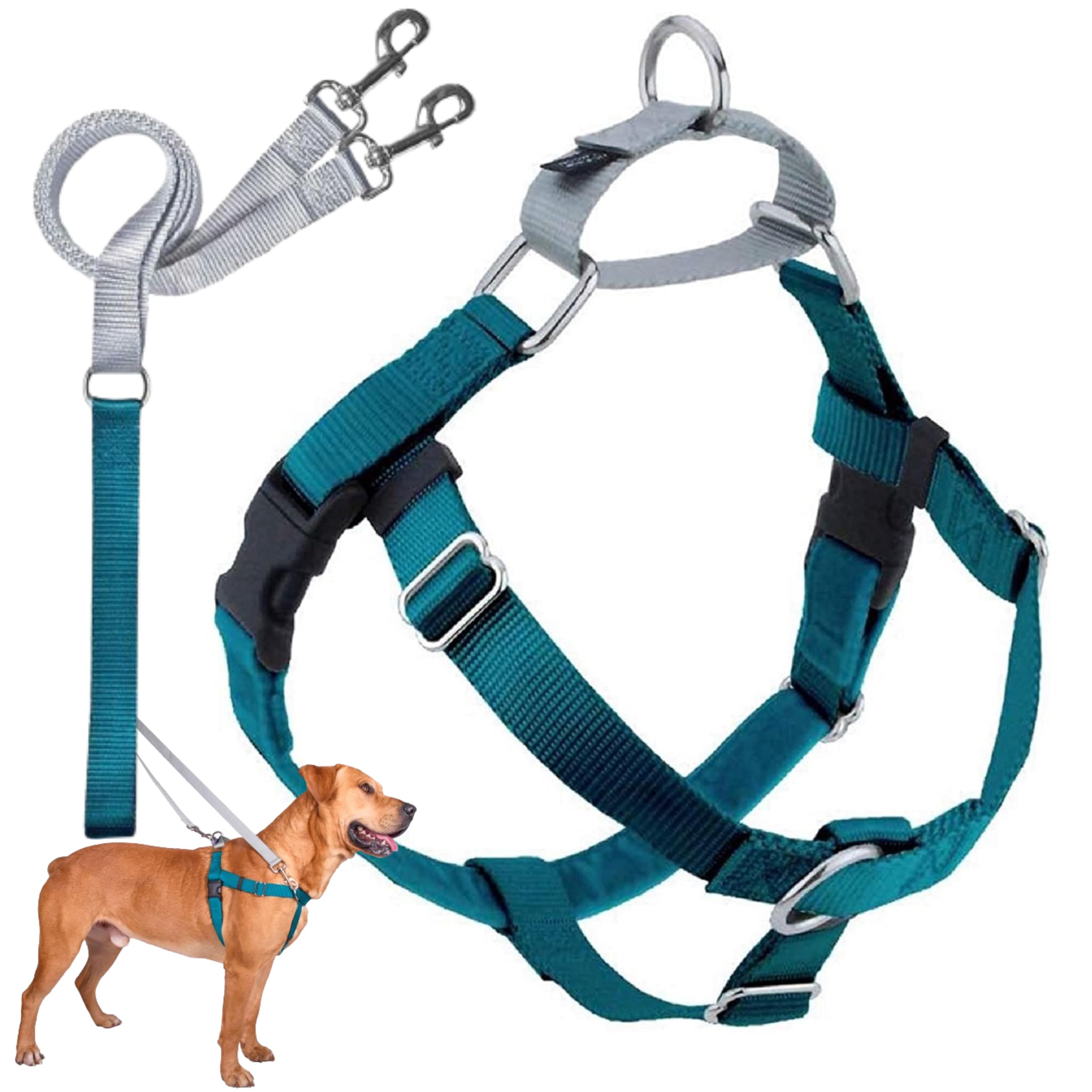 2 Hounds Design Freedom No Pull Dog Harness | Comfortable Control For Easy Walking |Adjustable Dog Harness And Leash Set | Small, Medium & Large Dogs | Made In Usa | Solid Colors | 1' Lg Teal