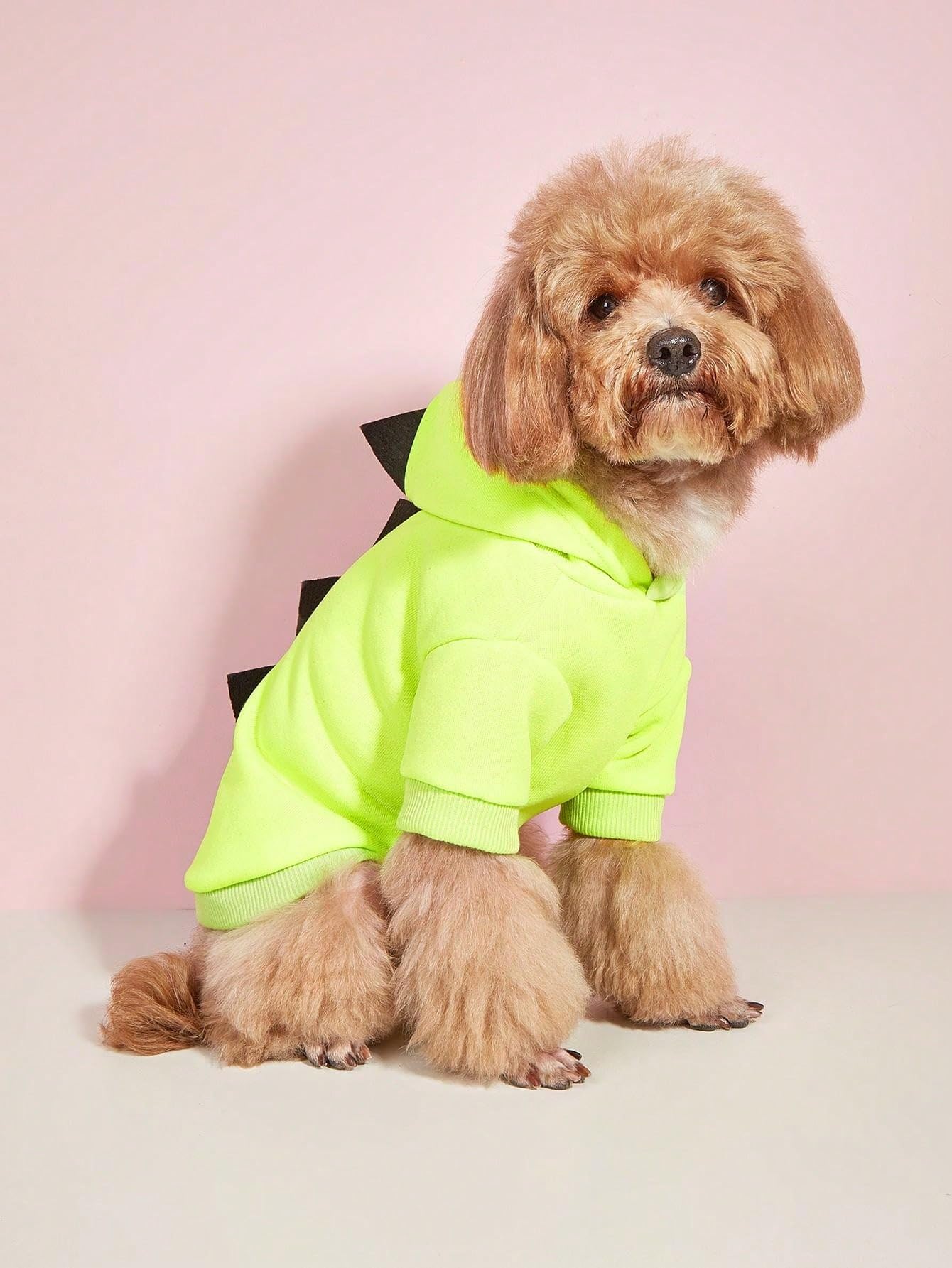 Qwinee Dinosaur Dog Hoodie Dog Warm Jacket Christmas Halloween Dog Costume Dog Clothes For Puppy Kitten Small Medium Dogs Cats G