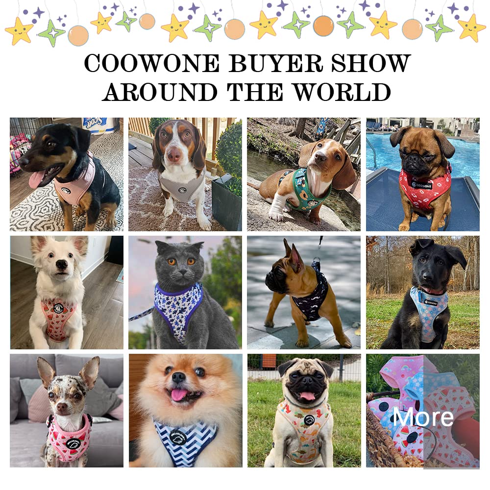 Coowone Dog Harness And Leash Set With Poop Bag Dispenser -Soft Mesh Adjustable And No Pull Dog Harness For Small Medium Large Dogs (L (Neck 14.5'-20'; Chest 18.5'-27'), Orangeleopard)