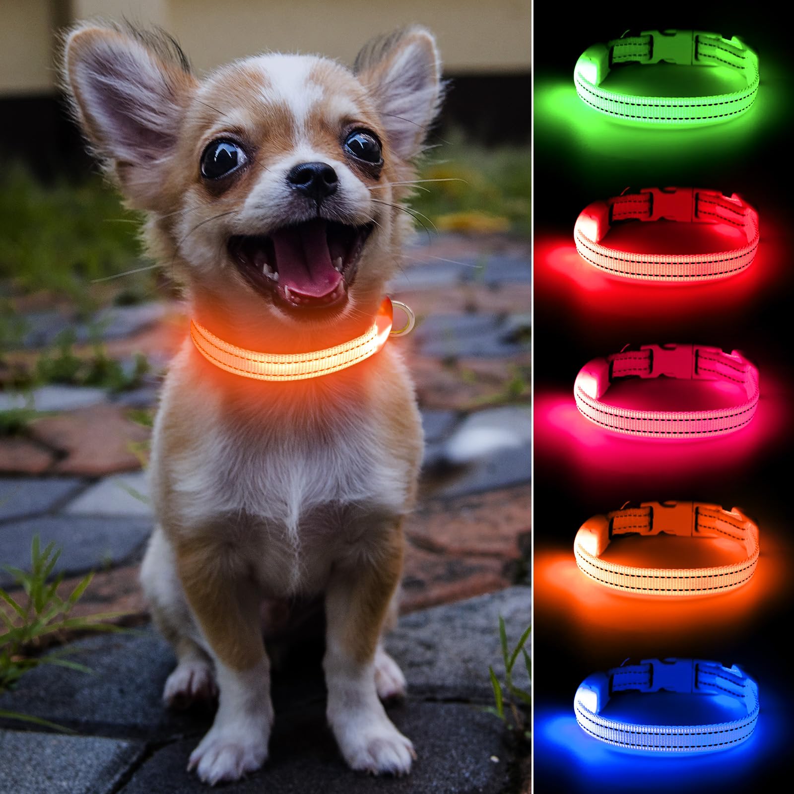 Domiglow Light Up Dog Collar - Rechargeable Led Dog Collar, Adjustable Reflective Puppy Collar, Glowing Safety Dog Lights For Sm