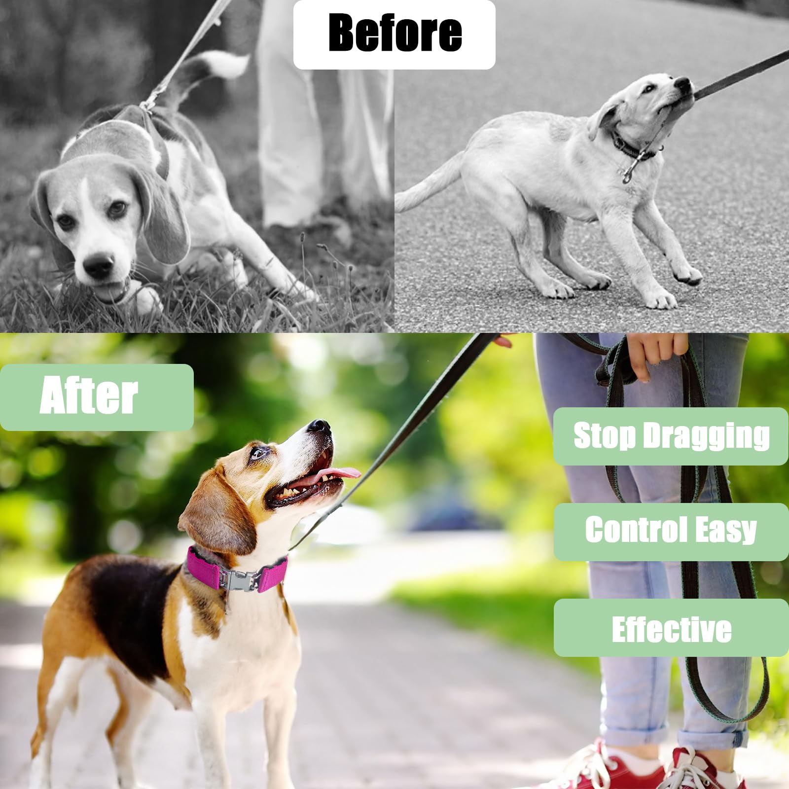 Adjustable Dog Collar With Quick Release Buckle For Small Medium Large Dogs