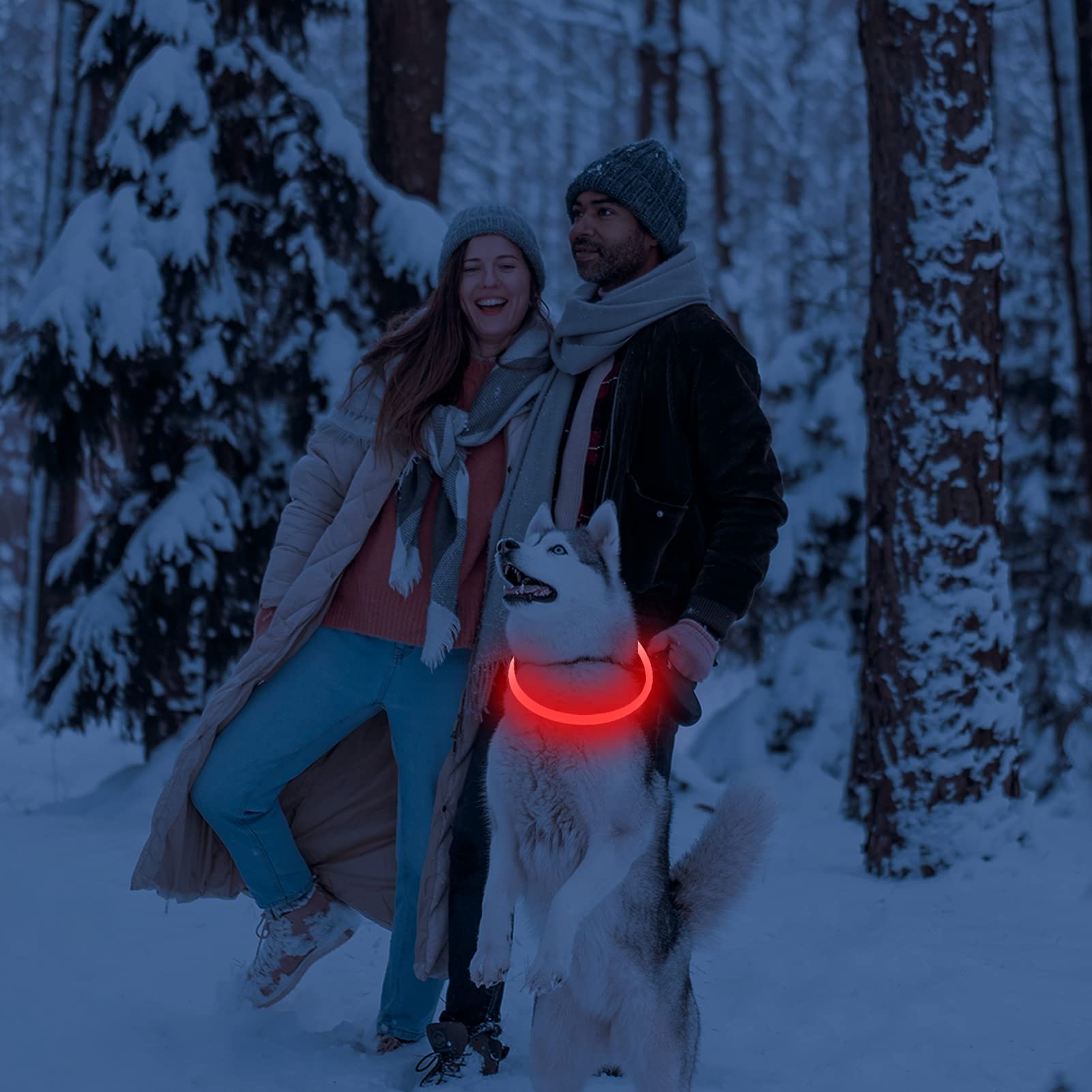 Domagiker Light Up Dog Collars - Waterproof Led Dog Collar, Glow In The Dark Puppy Collar, Tpu Cuttable Lighted Dog Collar For S