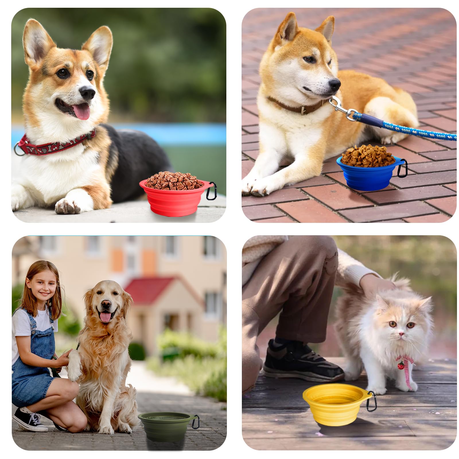 PetBonus 2-Pack Large Silicone Collapsible Dog Bowls, 34oz/1000ml BPA Free Portable Foldable Travel Bowl for Pet Cat, Food Water