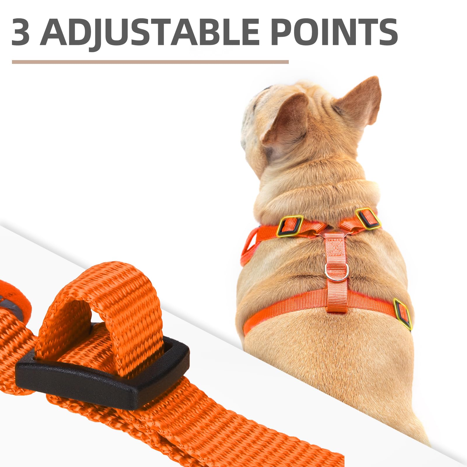 Pupteck Dog Harness And Leash Set For Small Medium Dogs No Pull, Soft Mesh Adjustable Puppy Cat Harness Reflective At Night, Ora