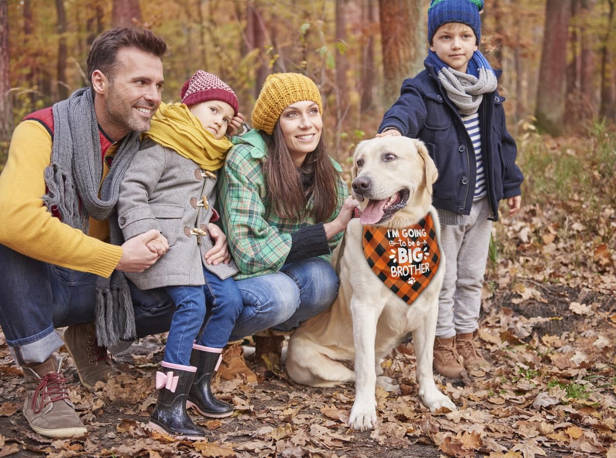 Dog Bandana - I Am Going To Be A Big Brother, Plaid Printing Pet Scarf, Gender Reveal Accessories, Gift (D26)