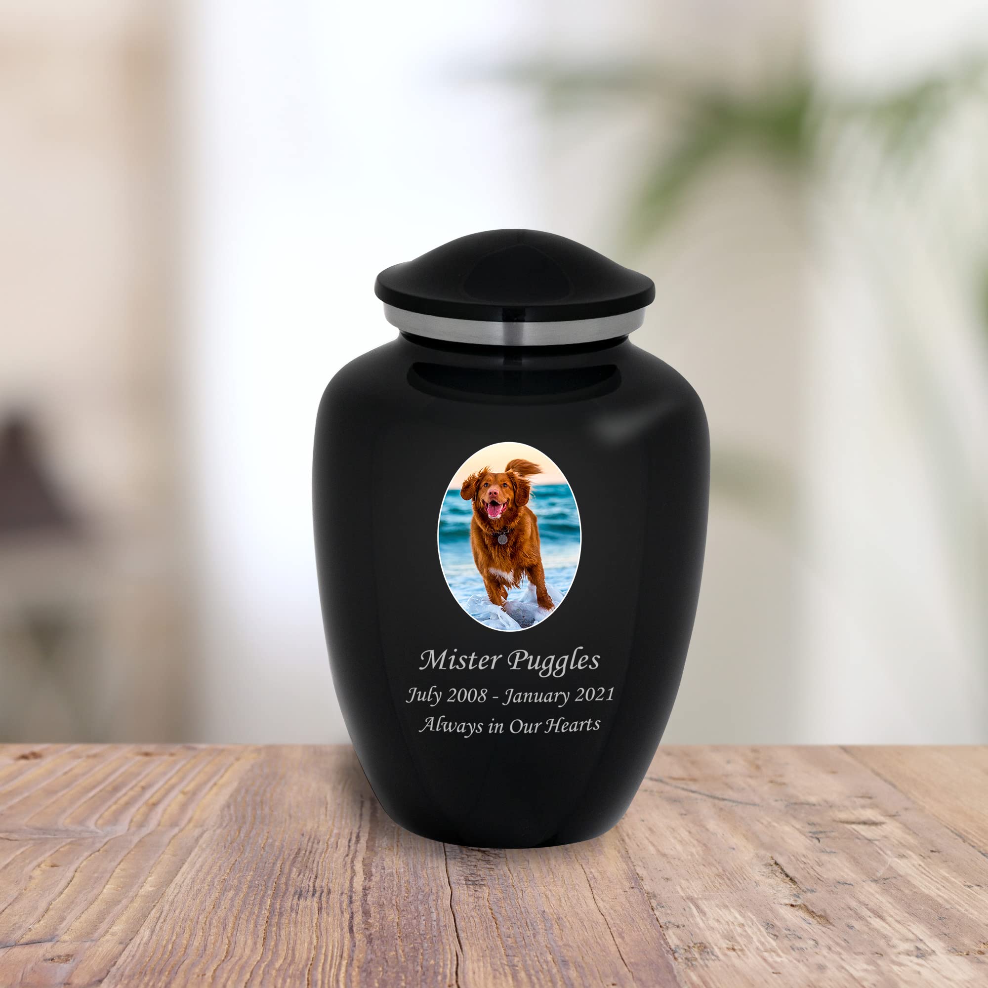 Mainely Urns Homage Medium Custom Photo Cremation Urn - Vase Style Pet Ashes Urn - 80 Cubic Inch Capacity - Personalization Incl