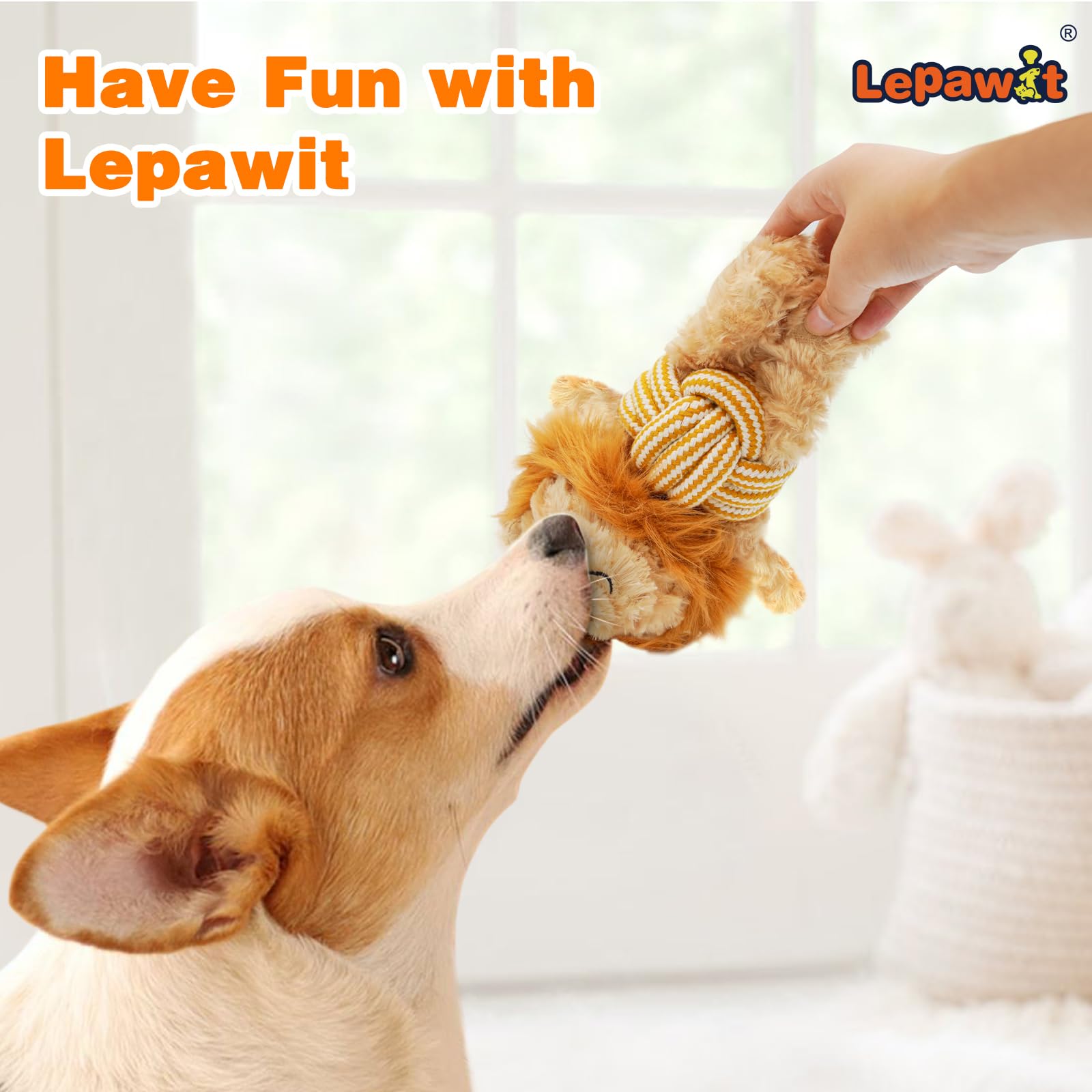 Lepawit Squeaky Dog Toys, Cute Lionet With Rope For Teething, Durable Dog Chew Toys For Small And Medium Dogs