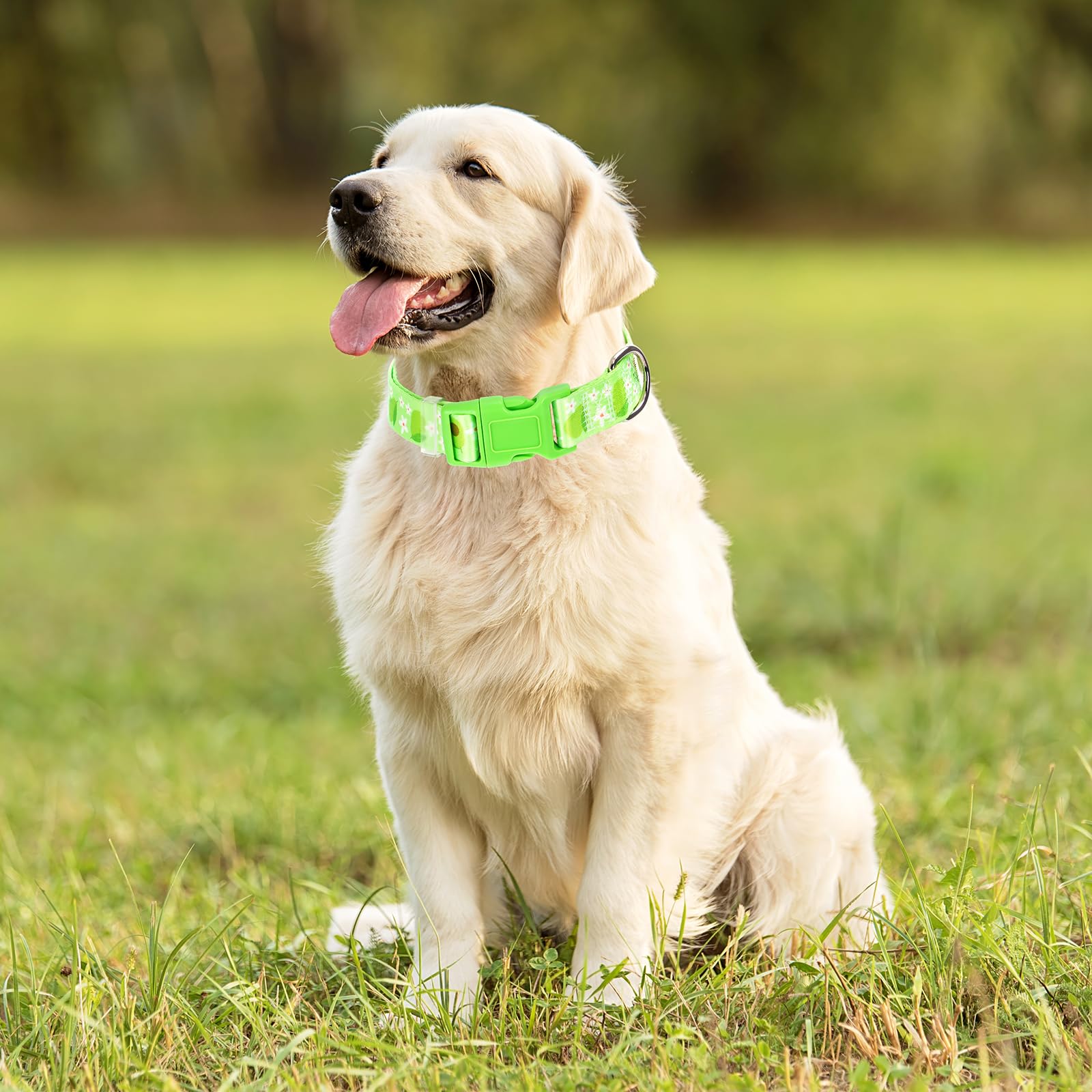 Soft Nylon Adjustable Dog Collar With Cute Avocado Design - Green Durable Collar For Small, Medium, Large & Xl Dogs | No-Slip Co