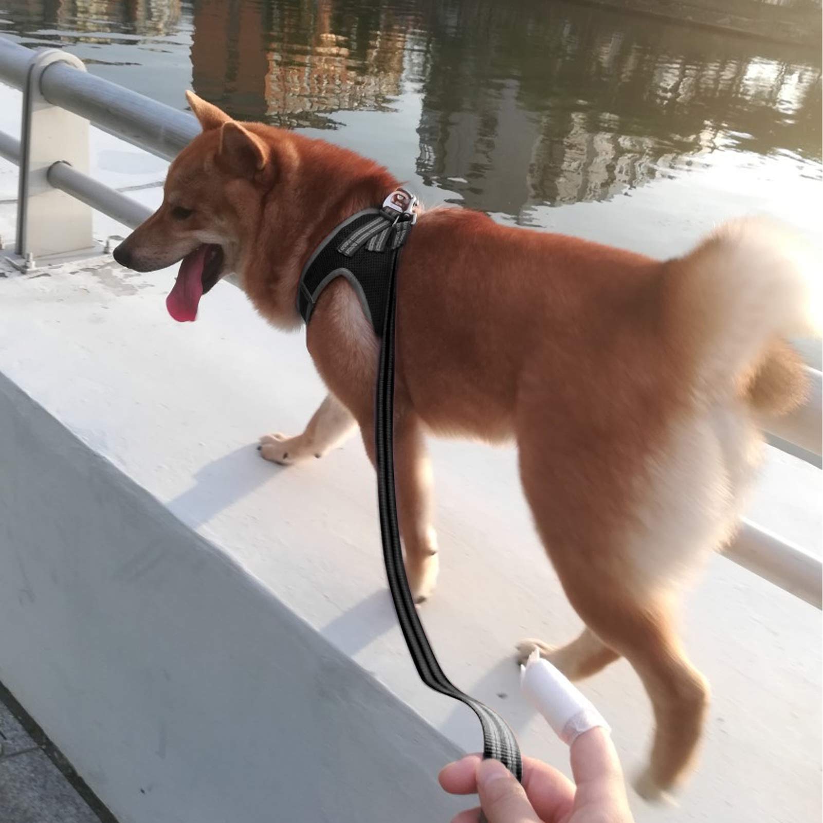 Yimeis Dog Harness And Leash Set, No Pull Soft Mesh Pet Harness, Reflective Adjustable Puppy Vest For Small Dogs, Cats (Xs, Black)