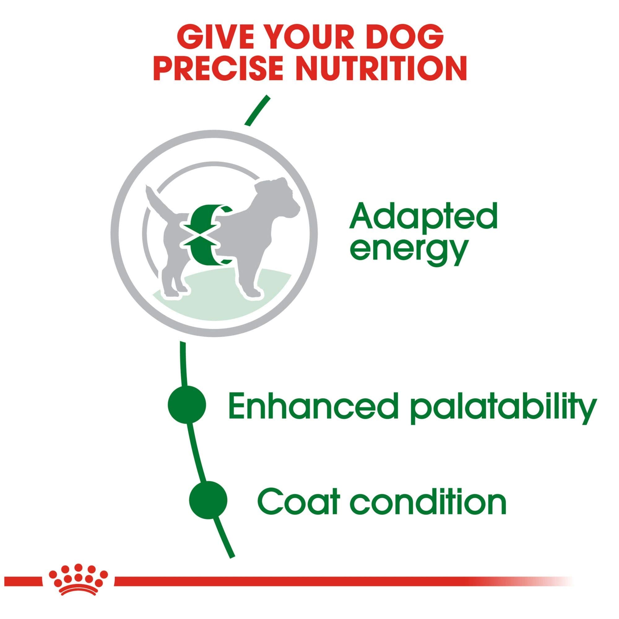 Royal Canin Size Health Nutrition Small Adult Dry Dog Food, 14 lb Bag